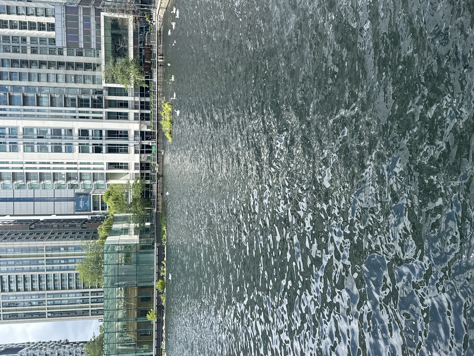 The image shows a body of water, likely a river or canal, with buildings on the left bank. The buildings are modern, with glass and steel facades, suggesting an urban environment. There are some green trees and plants along the bank. The water surface is textured, indicating wind or current. Small white spots scattered on the water may be light reflections or debris. The location is unknown.