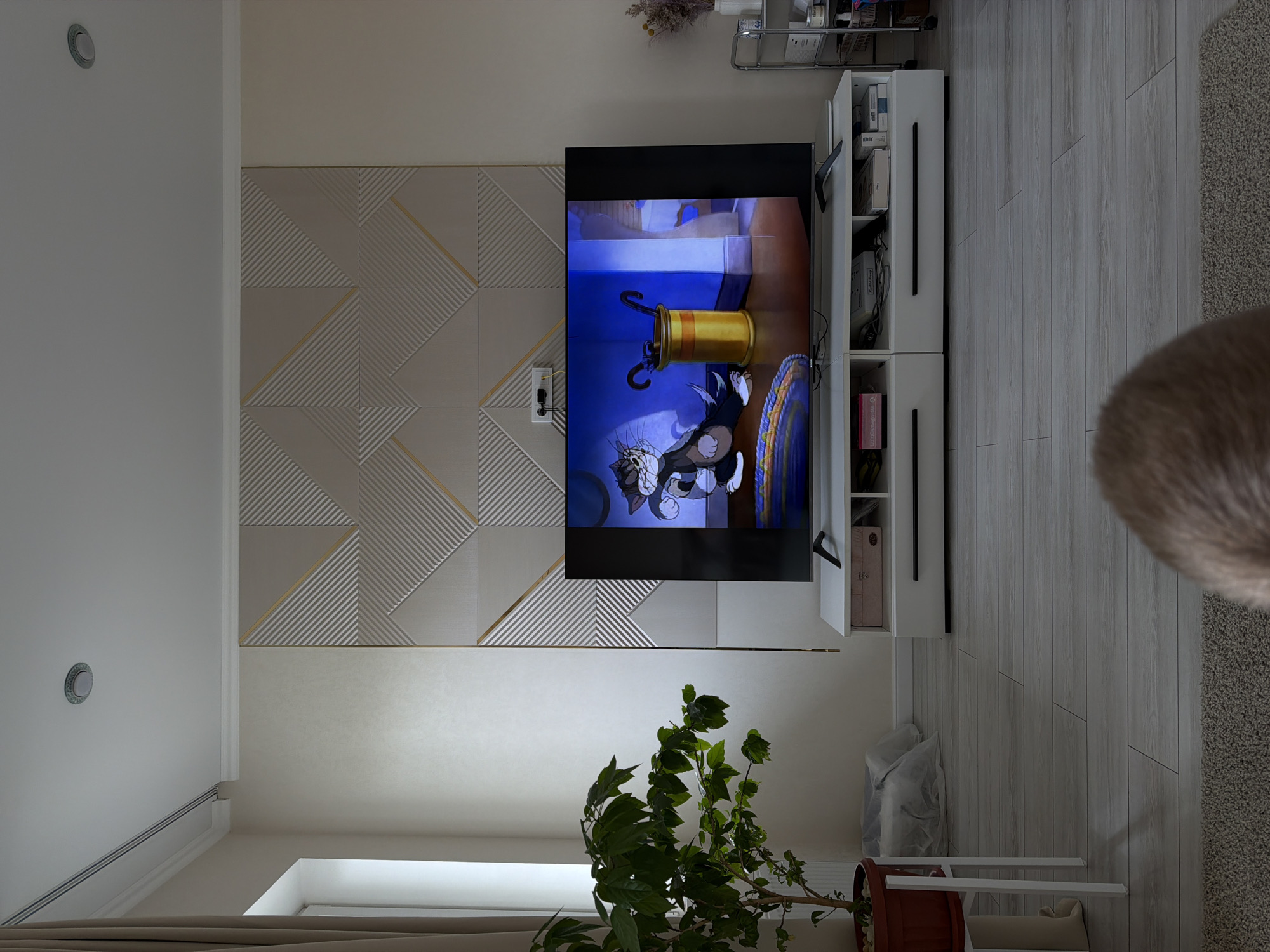 This image shows a living room in what appears to be an apartment, presumably located in Rossiyskiy, Russia. The primary focus is a wall-mounted flat-screen TV displaying an animated cartoon, likely "Tom and Jerry". To the right of the TV is a white shelving unit with vertical black handles, possibly containing various items inside. The wall behind the TV is decorated with a geometric pattern in neutral tones, featuring subtle gold accents. Below the TV, there is a green potted plant, which is leaning over towards the floor. To the right of the frame, part of a light-colored rug is visible, along with the head and shoulder of a cat. Behind the plant, there is a white chair with a beige cushion, partially obscured by the plant and the floor. The room is illuminated by what appears to be natural light coming from a window beneath the plant, and several ceiling-mounted spotlights. The overall impression is that of a modern, comfortable living space.