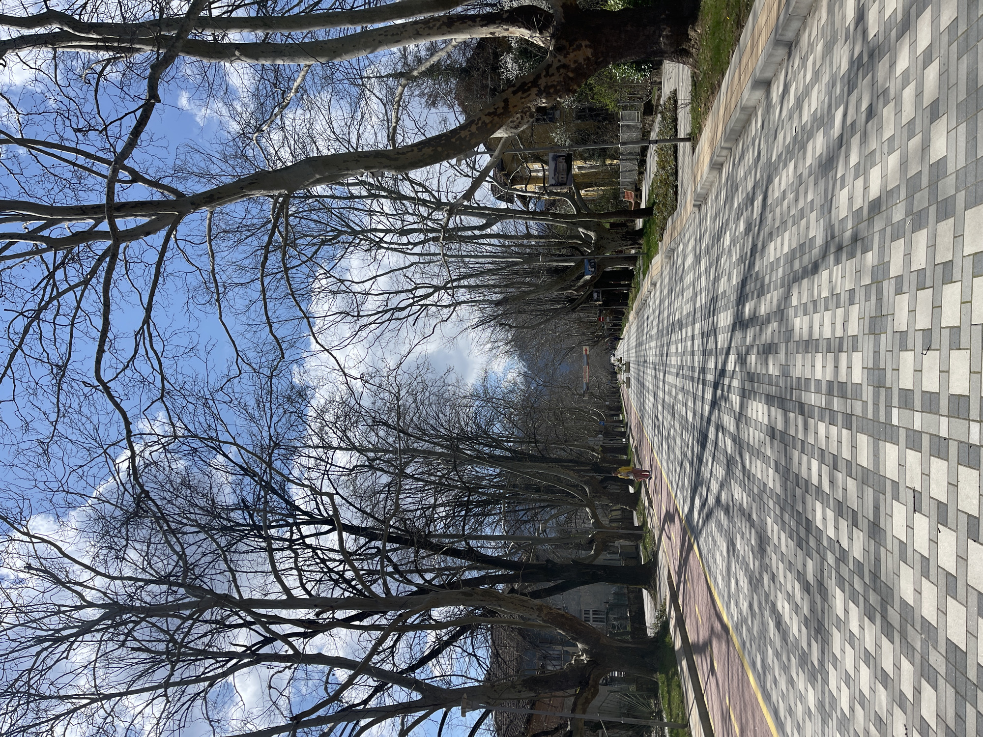 The image depicts a tiled walkway in Varshets, Bulgaria, lined with bare trees forming a canopy against a partly cloudy sky. The walkway is paved with gray and white rectangular tiles in a regular pattern, bordered by a red strip with a yellow line. The trees, devoid of leaves, cast shadows on the walkway. A few buildings are visible in the background, and a single individual wearing yellow and pink clothing is present on the walkway. The perspective suggests a vanishing point in the distance, creating a sense of depth.