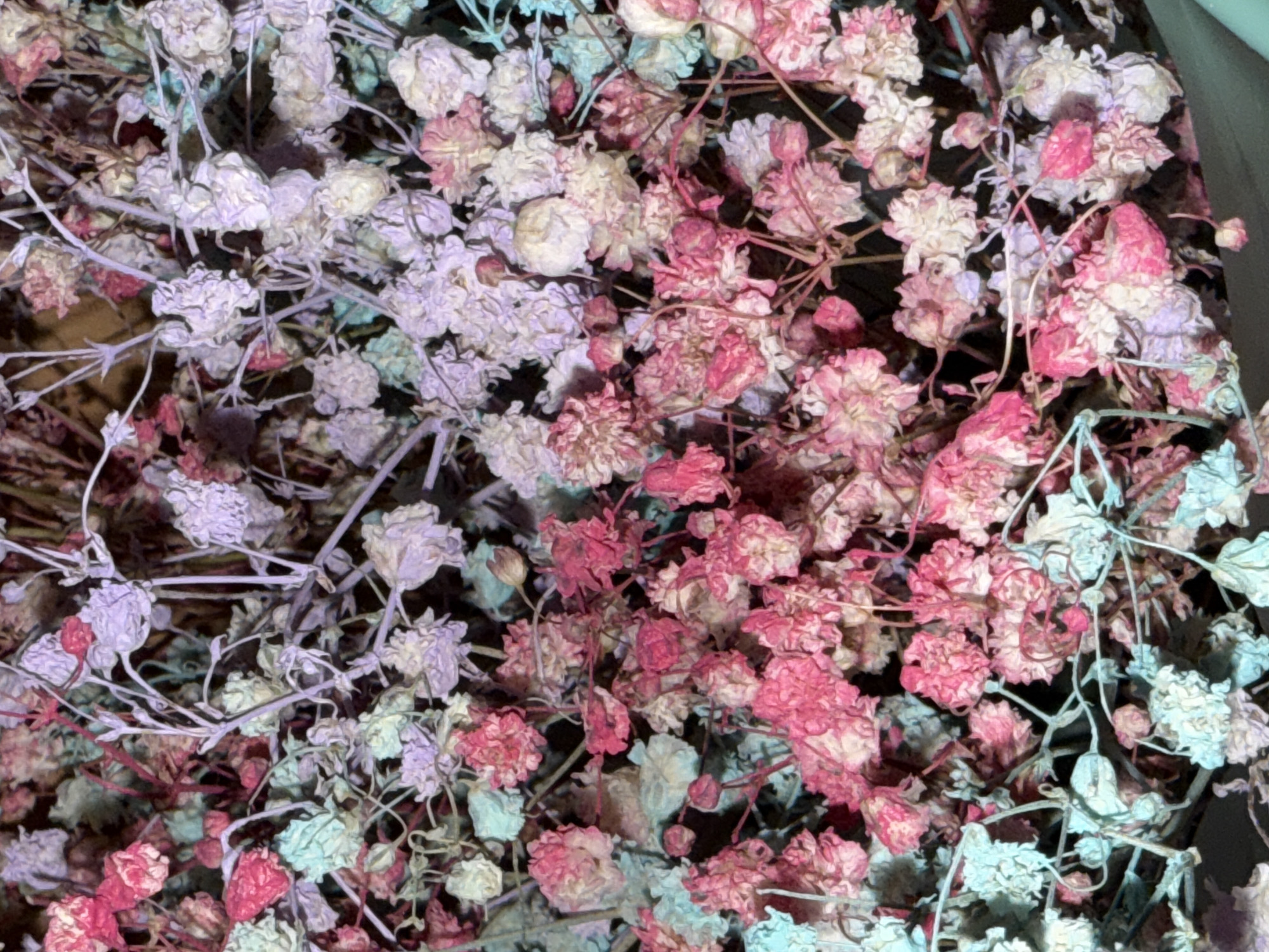 The image shows a close-up of a bouquet of dried gypsophila flowers. The flowers are various shades of pink, purple, and white. The background is dark and out of focus. There is no indication this is in Chaikovsky, Russia.