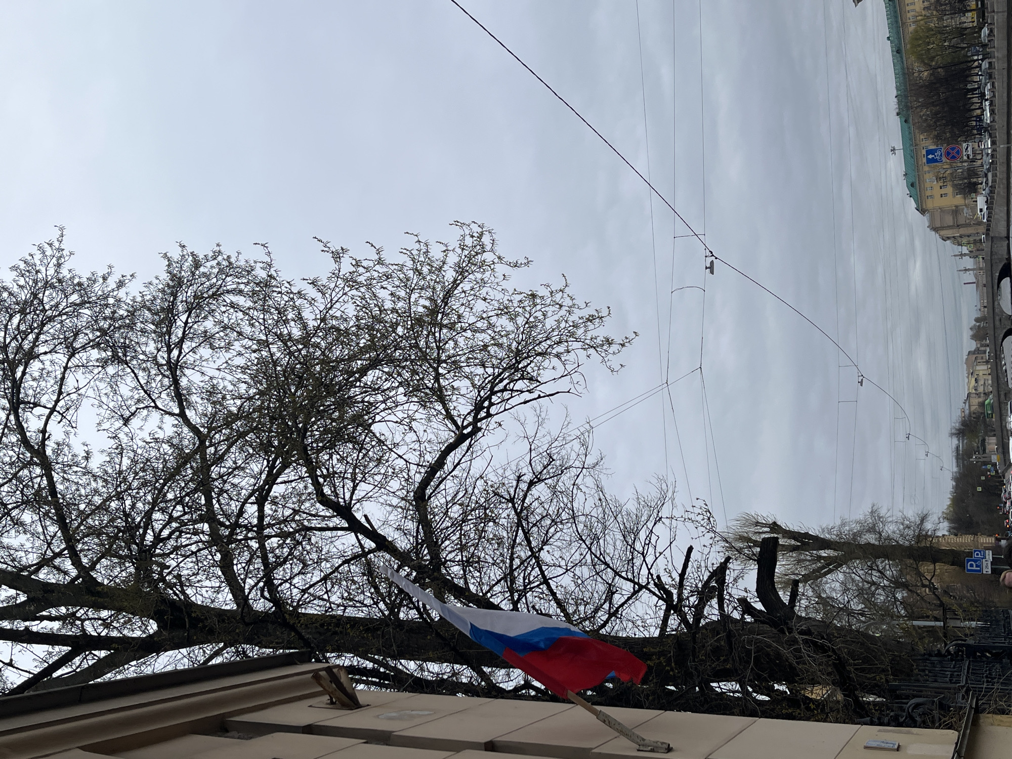 The image displays an urban scene under an overcast sky, viewed from a low angle looking upwards and across a street. In the lower left foreground, a Russian flag, characterized by its horizontal white, blue, and red stripes, is attached to the light-colored facade of a building. Above and behind the flag, the intricate, bare branches of a large, leafless tree dominate the left and central parts of the frame, suggesting early spring or late autumn.
The sky is uniformly gray and cloudy, with numerous thin overhead wires or power lines stretching across the mid-ground. To the right, across what appears to be a street, several buildings with traditional architecture are visible, featuring windows and a distinctive green roofline on one. Parked cars line the street, and a few vehicles are in motion. A blue road sign is visible, displaying a white arrow pointing right and another white arrow pointing downwards. Adjacent to it is a red-bordered sign with a red diagonal line through a 'P' on a blue background, indicating a "no stopping" or "no parking" zone. The scene is static, capturing a moment on a somber, cloudy day in what appears to be a Russian city.