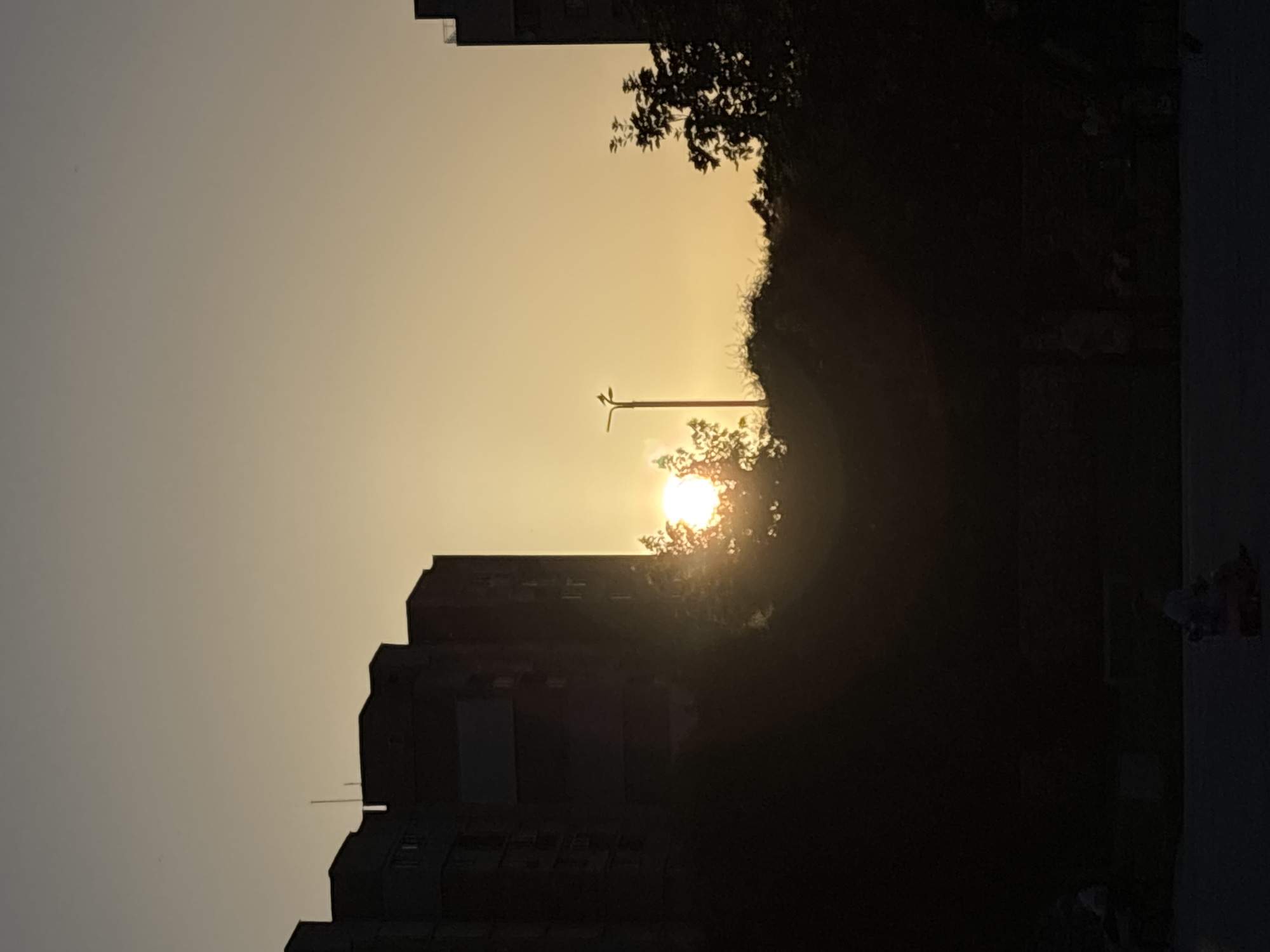 This is a vertical, full-shot photograph of a sunset in an urban environment. The sun is a bright, yellow orb partially obscured by trees and a lamppost, casting a warm glow on the sky. Silhouetted against the sunset are apartment buildings on the left and right sides of the frame, as well as dense foliage. In the foreground, a paved surface is visible, with faint silhouettes of people and a child on a ride-on toy. The overall mood is peaceful and serene, characteristic of a late afternoon or early evening in a city.
