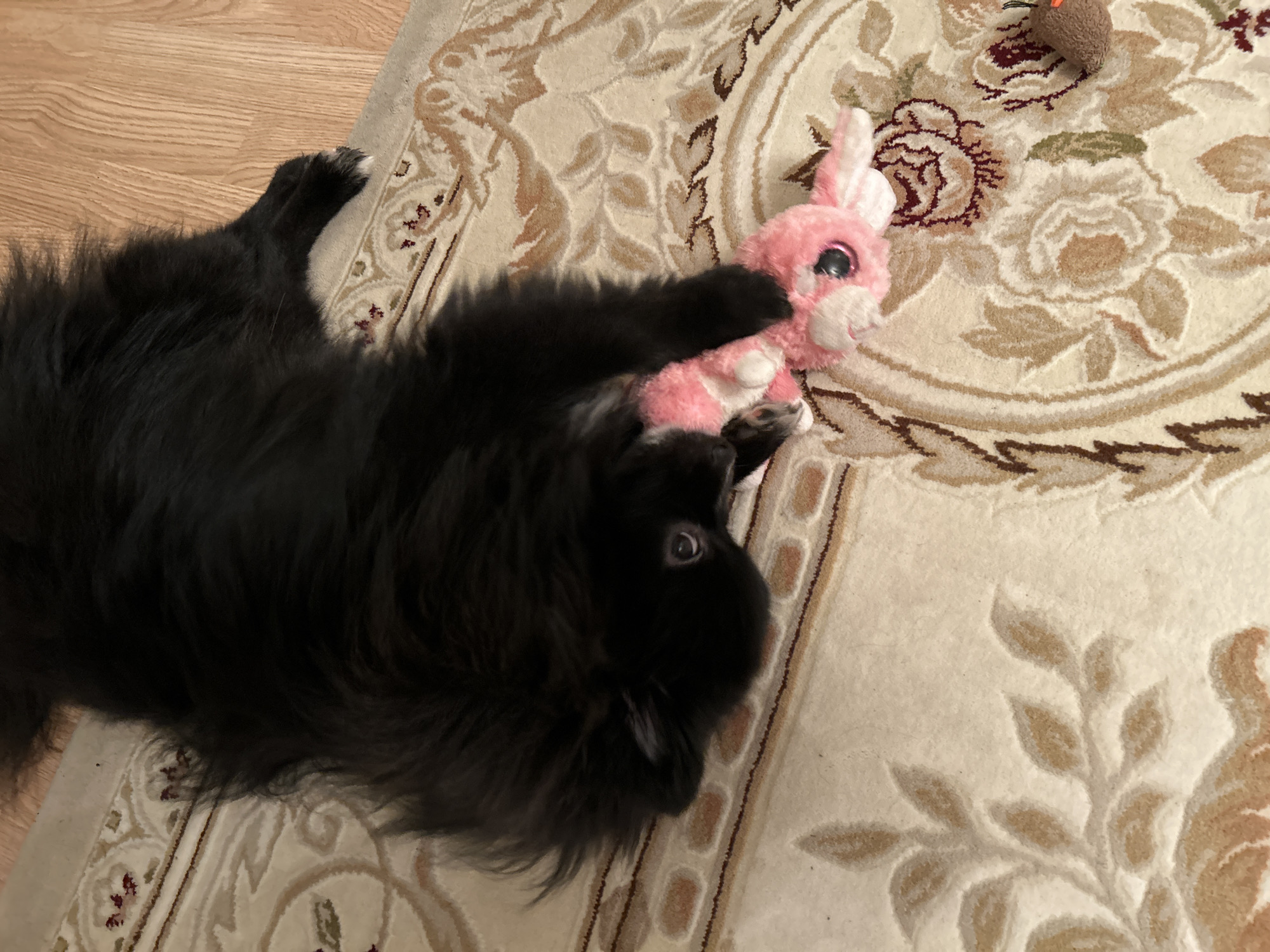 A black, long-haired dog is depicted lying on a patterned rug in an indoor setting in Chaikovsky, Russia. The dog's head is positioned to the left, with one eye visible, looking towards the viewer. Its front paws are actively engaged with a pink plush toy rabbit, which it appears to be biting or holding in its mouth. The rabbit toy features prominent dark, reflective eyes. White markings are visible on one of the dog's paws. The rug is light-colored, displaying intricate floral and scroll patterns in shades of beige, brown, gold, and maroon. A light brown wooden floor is visible bordering the rug in the upper right portion of the scene. A second, smaller brown plush toy is partially visible on the rug to the lower right.