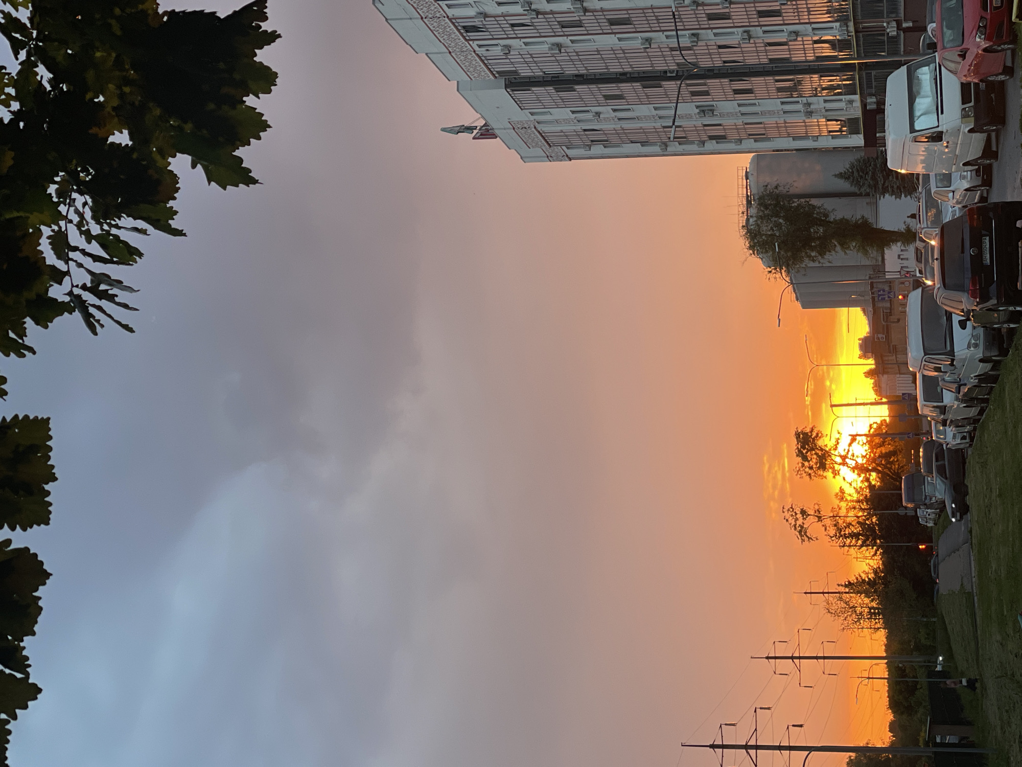This is an outdoor photograph depicting a vibrant sunset or sunrise scene in an urban or suburban area, identified as Rozsoshentsi, Ukraine. The sky displays a striking gradient, transitioning from an intense orange and yellow glow at the horizon on the right to a softer, hazy grey-blue towards the upper and left parts of the frame. The sun itself is visible as a bright orange orb, partially obscured by trees.
The left side of the image features the dark, jagged silhouette of tree foliage in the foreground, framing the upper left corner against the cooler sky. On the right side, a multi-story modern building with numerous windows stands prominently, its facade reflecting the warm, golden light of the low sun. A small flag, possibly Ukrainian, can be seen on a pole extending from the building.
Below the building, a street or parking area runs along the right, filled with parked vehicles including several white vans, a red car, and a dark SUV. A license plate, "AH1384PA", is visible on the rear of the dark SUV. Further into the distance on the right, beyond the parked cars, several trees are silhouetted against the bright horizon, alongside large, light-colored cylindrical structures that appear to be industrial tanks or silos. The bottom right portion of the image shows a grassy strip with multiple utility poles and power lines stretching across, also silhouetted against the bright, colorful sky.
The scene conveys a serene and picturesque atmosphere, capturing the dramatic colors of dawn or dusk. No people or specific activities are visible, emphasizing the interplay between the natural light and the built environment.