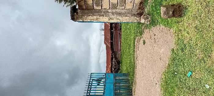 The scene depicts an outdoor area in Gatakaine, Kenya, under an overcast sky. A dirt pathway is central in the foreground, bordered by green grass. On the grass to the left, a crumpled green object and a small white cylindrical item are visible. To the right, a weathered, rough-hewn stone block is embedded in the grass.
An entrance is formed by a partially open, tall blue metal gate on the left, composed of vertical bars and horizontal supports, showing signs of wear. On the right, a substantial concrete pillar, constructed from stacked blocks and heavily weathered, stands upright.
Beyond this entrance, several structures with extensively rusted, reddish-brown corrugated iron roofs are visible. Some buildings also feature corrugated metal siding. Miscellaneous materials and debris are scattered around these structures. A coniferous tree or large bush is partially visible behind the rightmost building cluster. No individuals or active events are present in the scene.