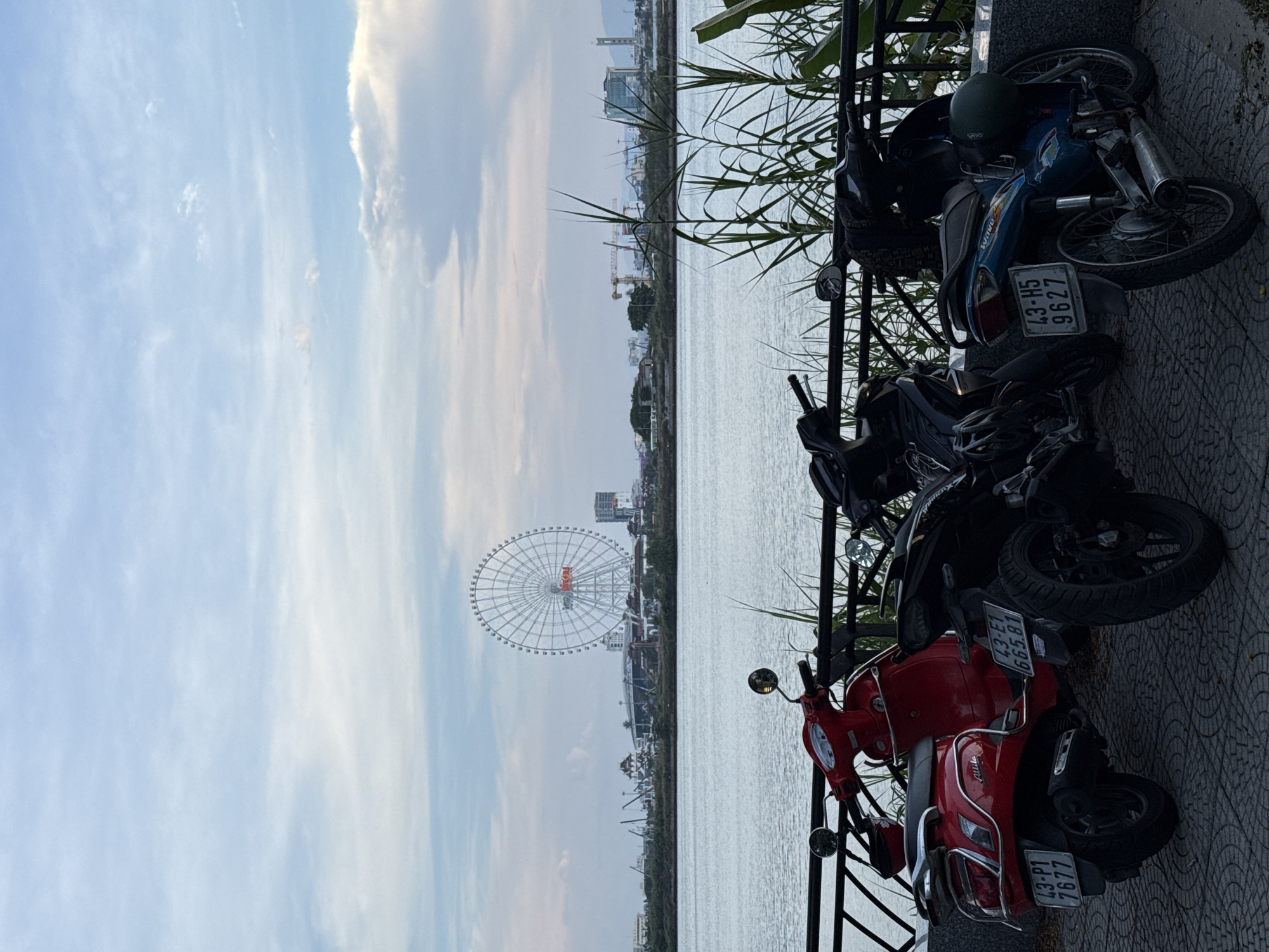 The image shows a waterfront promenade in Đà Nẵng, Vietnam, with several parked motorbikes in the foreground. The motorbikes are lined up along a black metal fence, with tall grass and reeds growing behind the fence. The water is calm and reflects the cloudy sky. In the background, a large Ferris wheel is visible, along with a cityscape featuring buildings and construction cranes. The sky is overcast with scattered clouds. The motorbikes are a red scooter, a black motorbike, and a blue motorbike. The red scooter is a Vespa-style model. The license plates are visible on the motorbikes, with one reading "43-P1 7677", another "43-E1 665.81", and the third "43-H5 9627". The scene appears to be during the day, possibly late afternoon, given the lighting.