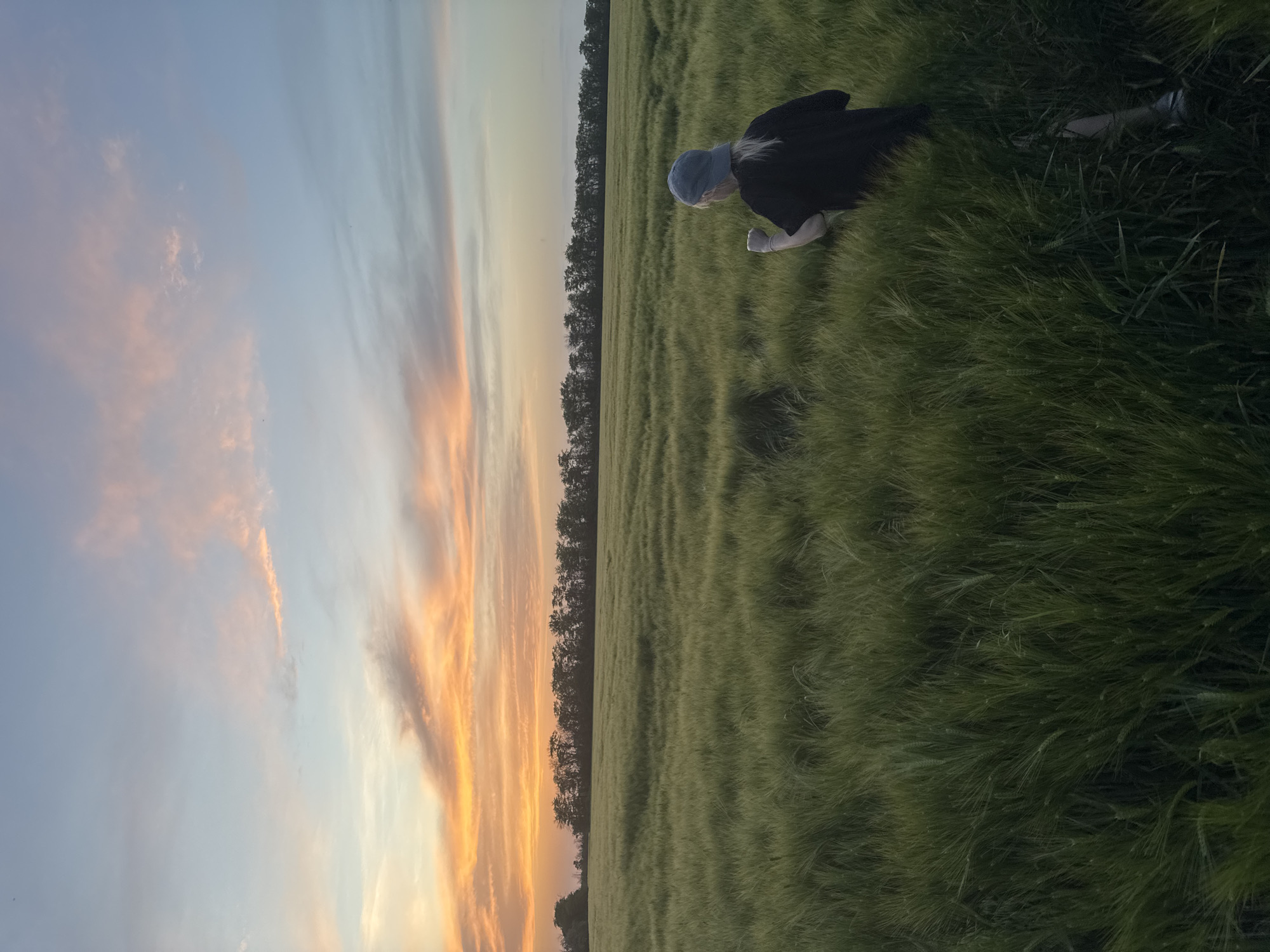 The image depicts a person in a field, seemingly kneeling or crouching. The person is wearing a dark garment and a light-colored head covering. The field is filled with tall green grass. In the background, there is a line of trees against a vibrant sunset sky with orange and yellow hues. The location is identified as Beysug, Russia, based on external information.