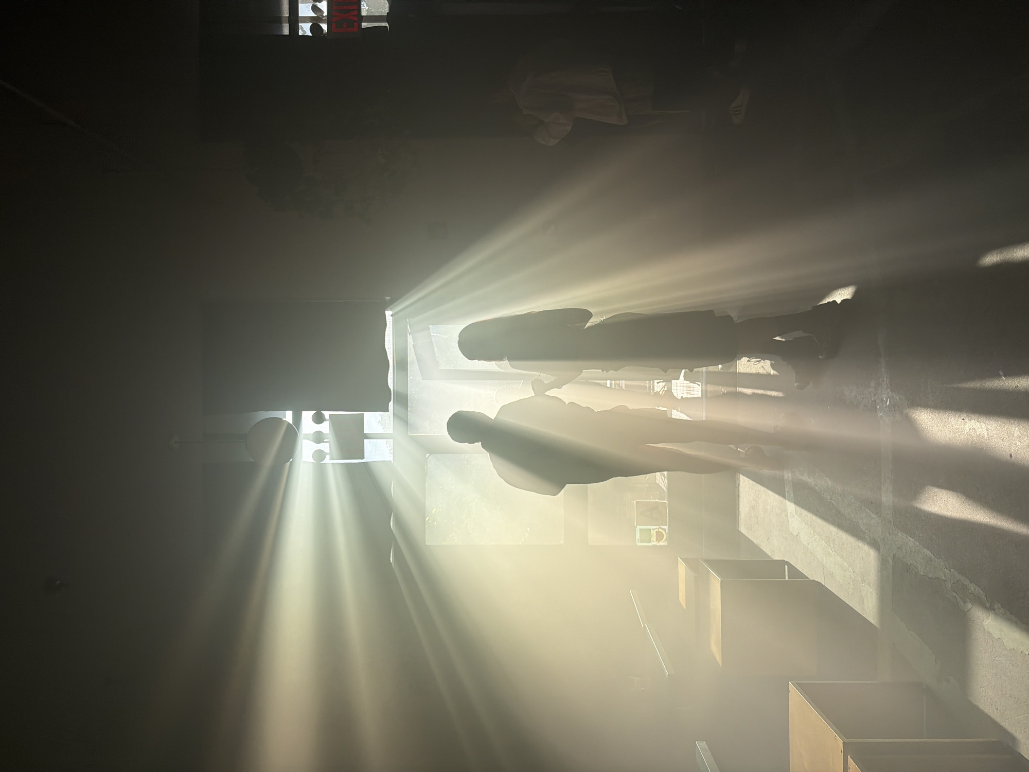 The image captures an unspecified interior space in New York City, characterized by strong backlighting and dramatic crepuscular rays. Direct natural sunlight streams into the darkened room from a source on the left and center-background, likely large windows or an entrance, illuminating airborne dust or haze and creating distinct, fanned shafts of light.
Two individuals, a man and a woman, stand centrally in silhouette against these bright rays. The man, positioned slightly to the left, appears to be facing the woman, who is to his right. Their specific features are obscured by the intense backlighting. A third individual is faintly visible as a silhouette on the far right side of the frame.
The floor is a textured concrete surface, showing signs of wear and faint line markings. On the left side of the scene, several dark, rectangular structures, resembling benches or low tables, are arranged, casting prominent, elongated shadows across the floor due to the low-angle sunlight. In the background, behind the central figures, vertical window panes or openings are visible, through which light is intensely entering. Adjacent to these, there appear to be shelves or display units holding various objects, including a green container and a white object with a letter "A" visible on it. A spherical light fixture hangs from the ceiling in the upper left portion of the background. On the far right, a red "EXIT" sign is mounted high on the wall, indicating a public or commercial establishment.