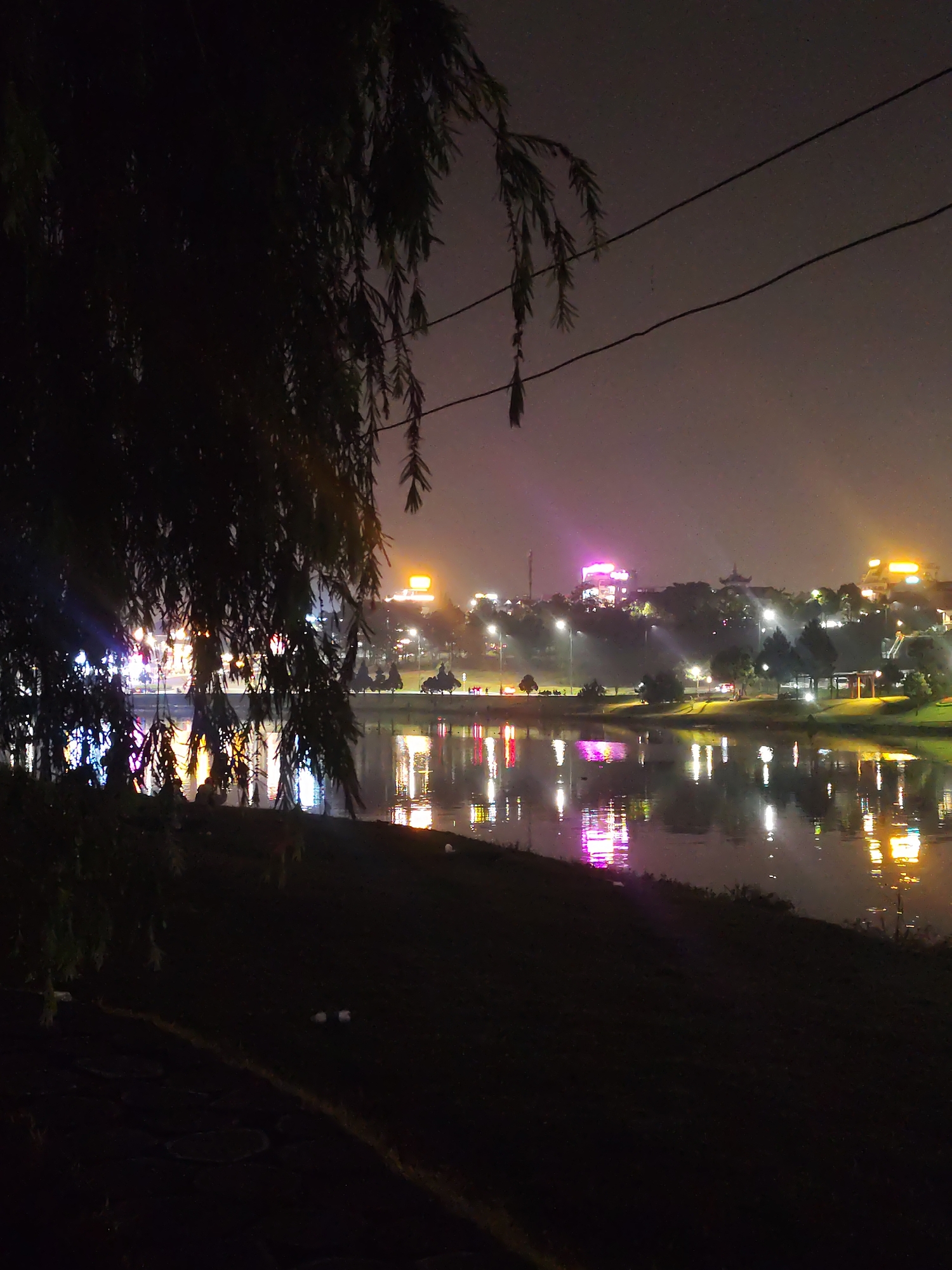 The image shows a nighttime view of a lake in Da Lat, Vietnam. The water reflects lights from buildings and streetlights on the opposite shore, creating a vibrant, mirrored effect. The sky is dark with a hint of mist or fog. The foreground is dominated by the silhouette of a weeping willow tree, with its branches framing the scene. Along the lakeside, a dark, grassy bank slopes down to the water's edge. In the distance, buildings are visible, some with distinctive illumination, including pink and orange lights. Two utility lines traverse the upper portion of the frame. The lights reflected on the water include white, yellow, orange and pink.