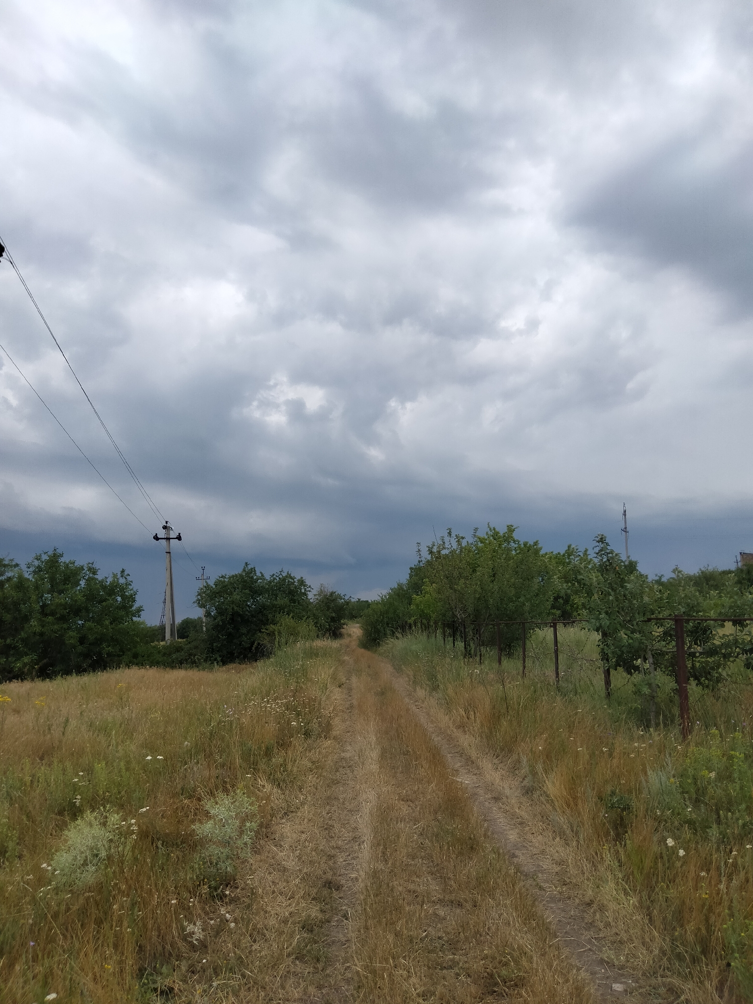 A dirt road leads through a grassy field towards a wooded area under a cloudy sky. Power lines stretch across the upper left portion of the image, supported by a utility pole. The field is a mix of dry, golden grasses and greener vegetation with scattered white wildflowers. To the right of the road, a fence runs along the edge of a treeline. The trees appear to be a mix of deciduous types. The sky is overcast with heavy, dark clouds. The scene is consistent with a rural area in Ananiv, Ukraine, likely a pathway or access road on the outskirts of a populated area. There are no people or animals visible in the image.