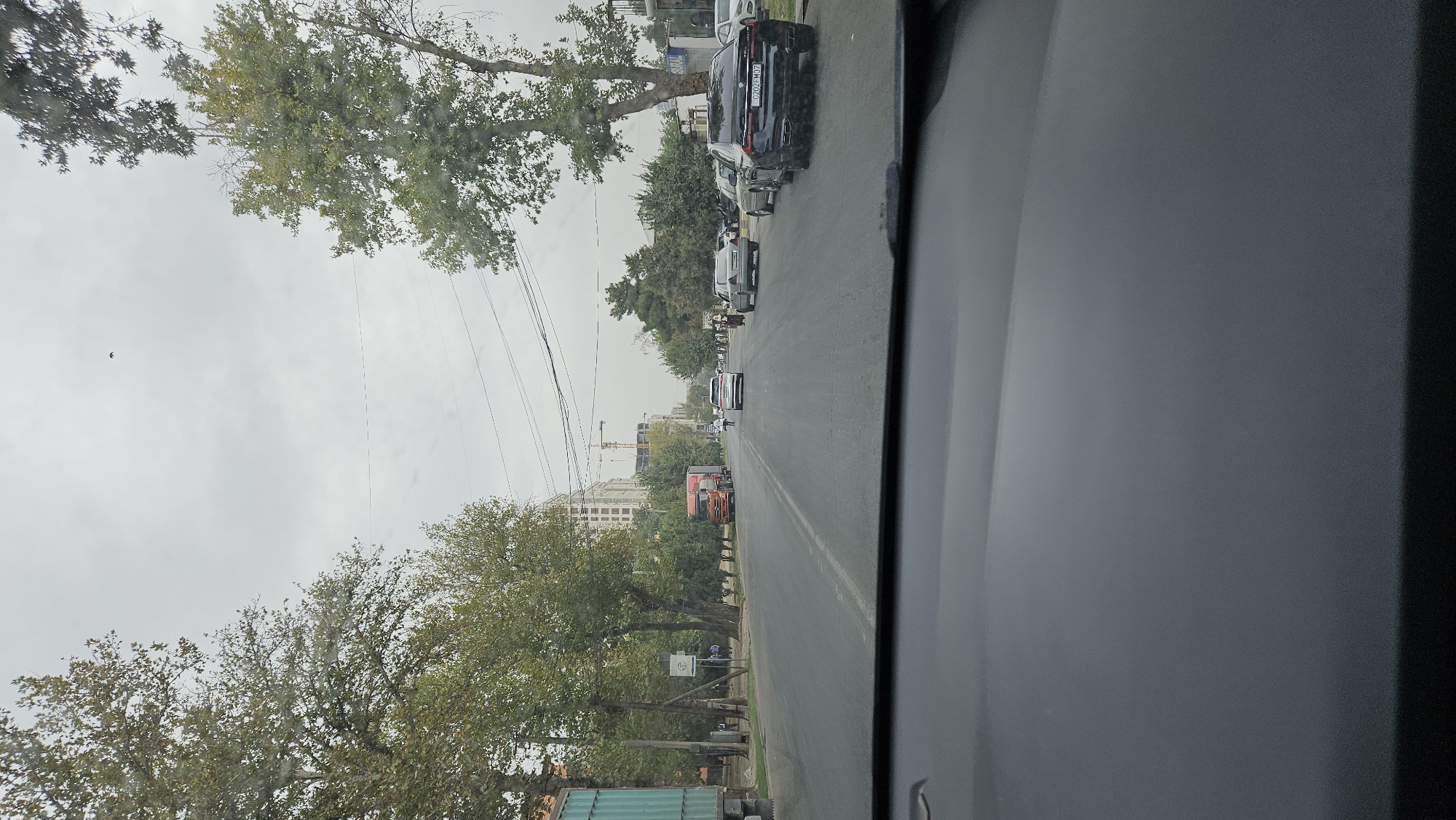 The image depicts a view from inside a vehicle looking out at a street scene in Dushanbe, Tajikistan. The sky is overcast, with some trees showing autumnal colors on the left and right sides of the road. A bird is visible in the upper portion of the image against the cloudy sky. The road is asphalt and appears to be multi-lane, with traffic moving in the same direction as the viewer. Several vehicles are present, including a large orange truck, a white sedan, a grey sedan, and a black sedan with a license plate that reads "0202FM37". A person is walking in the distance on the right side of the road, and a few other individuals are visible near the sidewalk on the left. Buildings line the street, with one prominent, light-colored multi-story building in the background on the left, possibly under construction with a crane visible. Power lines are strung across the sky above the road. The foreground of the image shows the interior of the vehicle, specifically the dashboard and windshield, partially obscuring the view of the exterior.