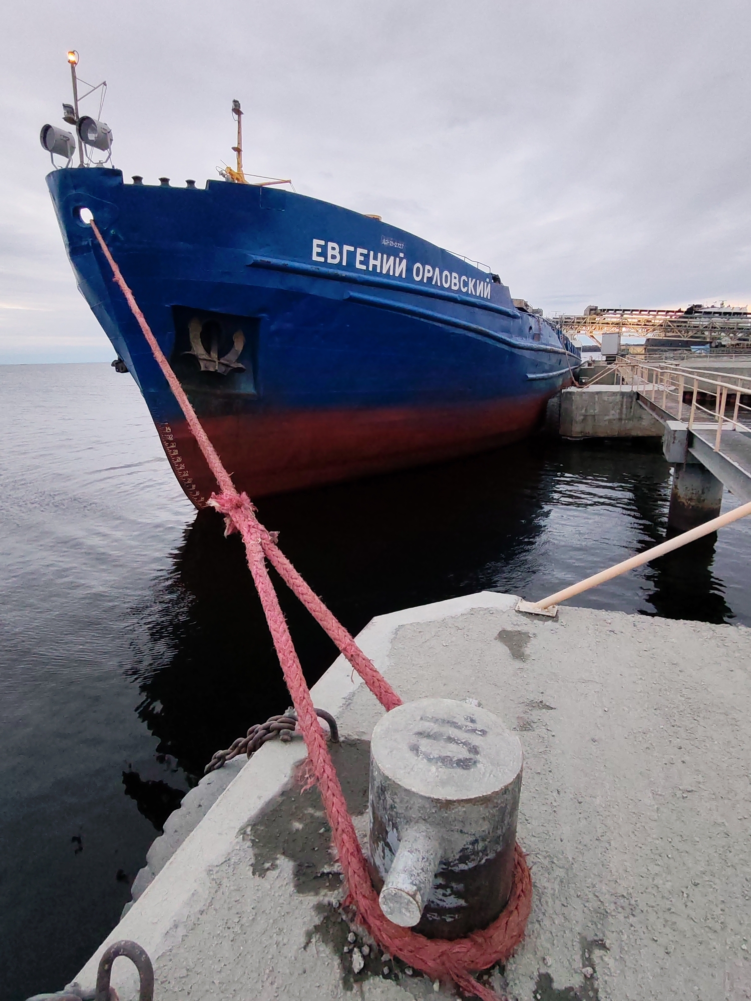 The image shows a blue and red ship named "ЕВГЕНИЙ ОРЛОВСКИЙ" (Evgeniy Orlovskiy) docked at a concrete pier. The ship is secured with a thick, reddish-pink rope tied to a cylindrical bollard on the pier. The ship appears to be a cargo vessel. A metal walkway and industrial structures are visible in the background. The location is likely Shcheleiki, Russia. The water is calm and dark. The sky is overcast.