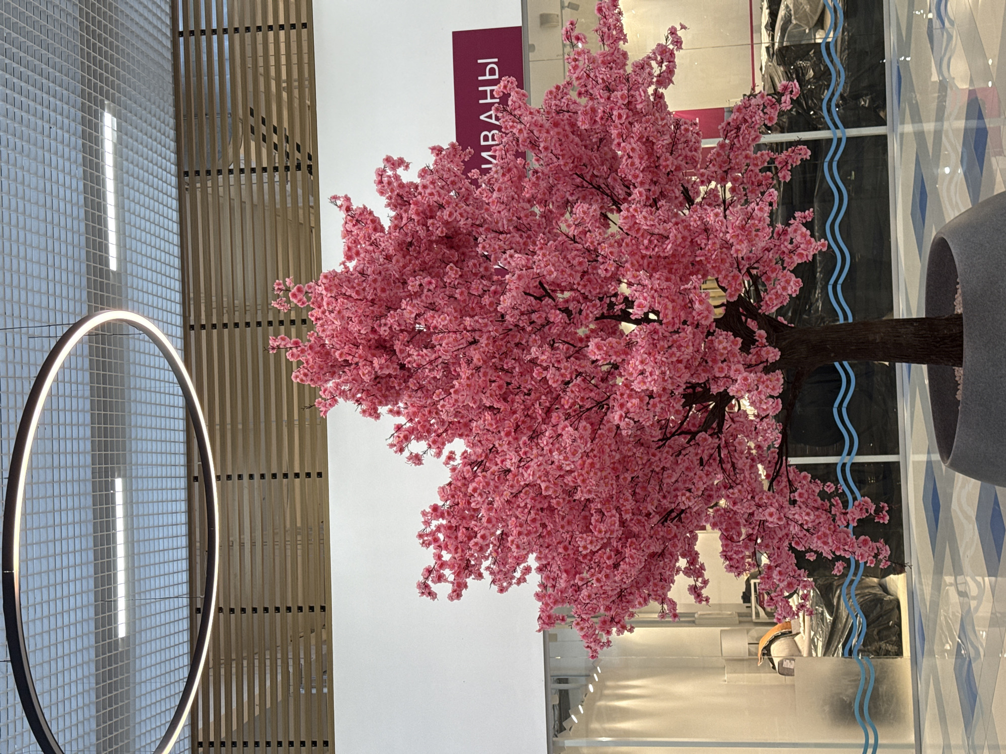 The image shows an interior space decorated with a large faux cherry blossom tree. The tree has a brown trunk and is covered in pink blossoms. It's positioned in front of a window or glass wall, with some of the cityscape reflected in the glass. To the left, there's a wall with a decorative circular light fixture and vertical wooden slats. A sign with Cyrillic text ("Иваны") is partially visible. The environment appears to be an indoor shopping center or retail space. I cannot guarantee the location is Izhevsk, Russia, without more visual evidence confirming such.