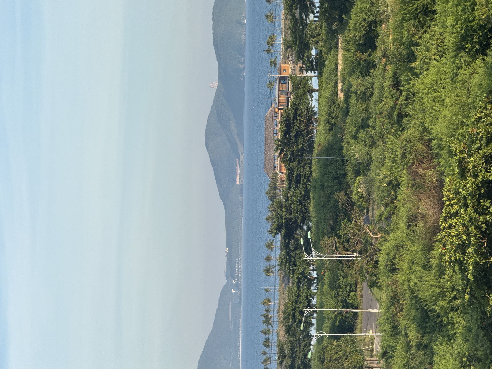 The image depicts a serene coastal landscape, likely in Bac Nha Trang Ward, Vietnam, under a clear, pale blue sky. In the foreground, lush green foliage dominates, with dense bushes and trees forming a natural embankment. A paved road and modern streetlights are visible cutting through the vegetation, suggesting a developed area within a natural setting.
Beyond the foreground greenery, a tranquil body of blue water stretches towards a line of palm trees, indicating a beachfront. Further in the distance, rolling, verdant hills rise from the coastline, shrouded in a soft haze. On these hills, subtle structures and buildings are discernible, hinting at residential or resort developments. The overall scene conveys a peaceful, picturesque atmosphere, characteristic of a seaside location.