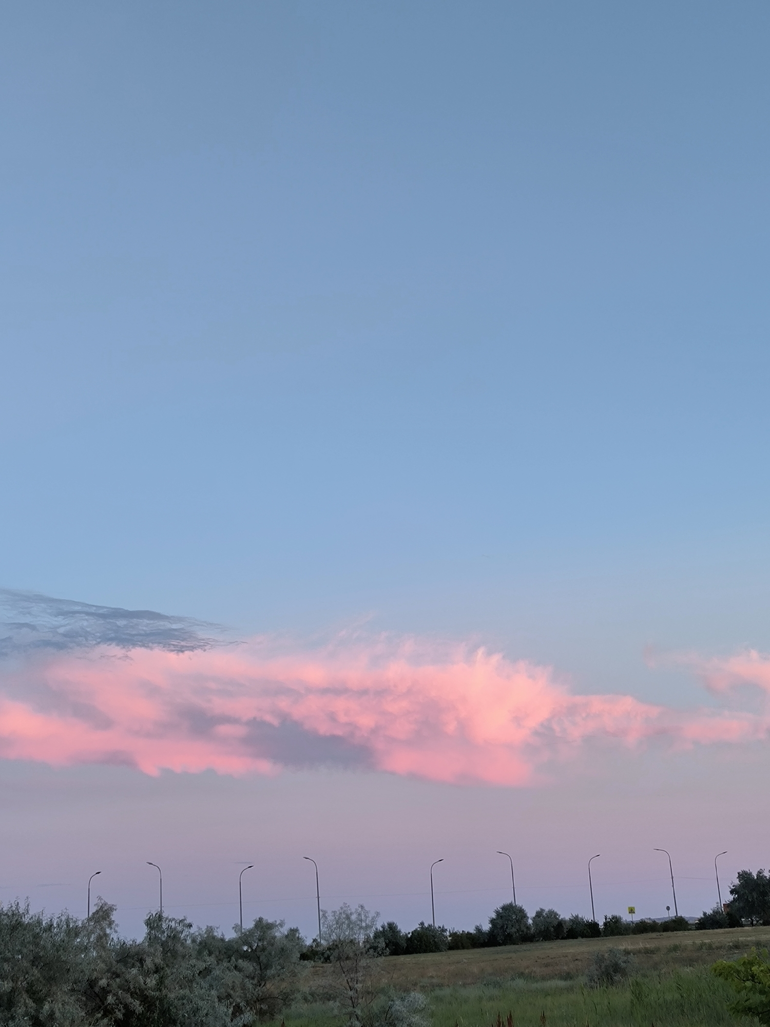 A wide shot captures a sunset with pink and blue clouds over a field and a row of streetlights in Beregovoy Rural Council, Ukraine. The sky is mostly a soft blue, with a band of vibrant pink clouds stretching horizontally across the middle of the frame. Below the clouds, a line of dark green trees and vegetation forms the horizon. Several tall, slender streetlights with curved tops are evenly spaced along the horizon line. The foreground shows a grassy field with some green foliage. No people or animals are visible. The scene is peaceful and serene, conveying the end of the day.