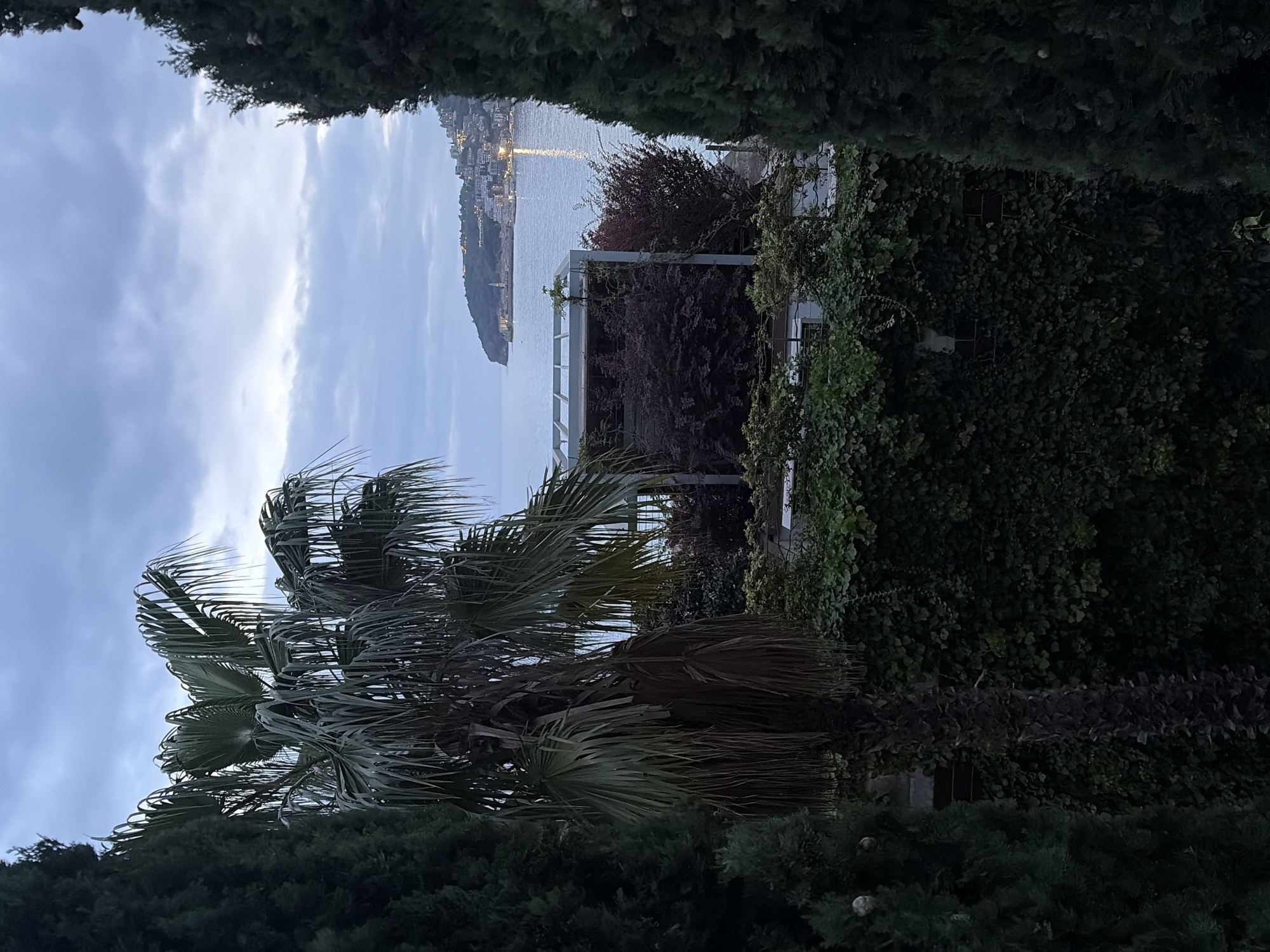 Captured from an elevated perspective through dense foliage, the image features a view of Budva, Montenegro. The cityscape, illuminated by lights, extends along the coastline and merges into the distance. A mountainous landmass is visible in the foreground, extending out into the water. A white pergola-like structure is positioned amidst the vegetation. The sky, exhibiting cloudy conditions, suggests either dusk or dawn. The framing vegetation consists of a large palm tree and what appears to be a cypress tree in the foreground, creating a natural foreground barrier to the scene.