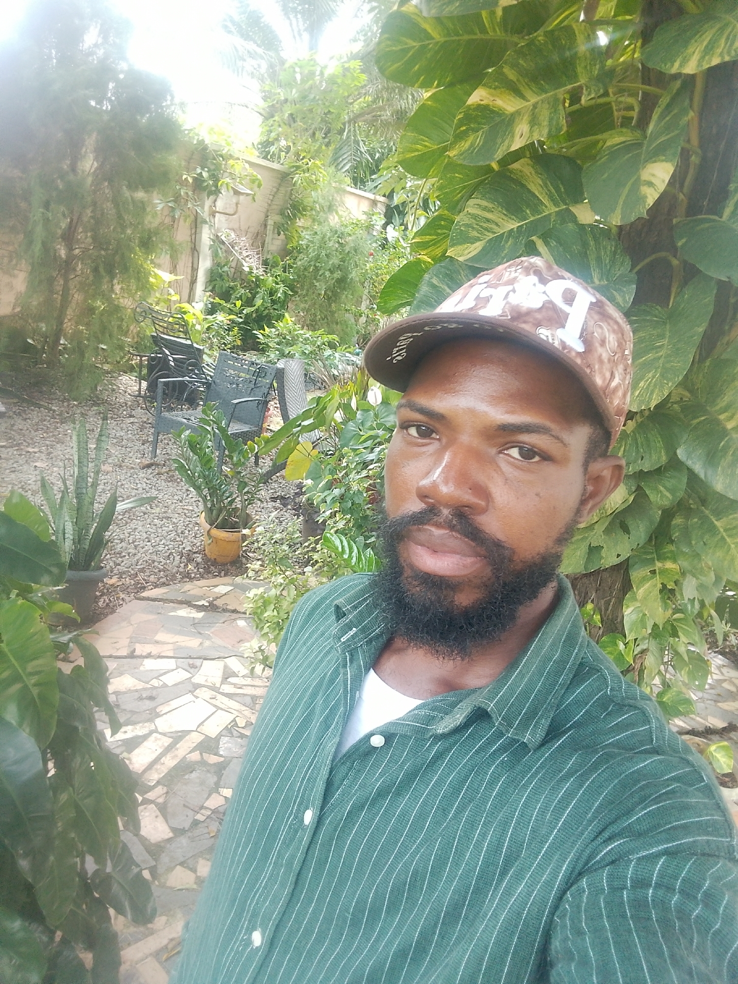 A man with dark skin, a beard, and a brown and white patterned baseball cap stands in a garden in Aketu-Oja, Nigeria. He is wearing a green collared shirt with white pinstripes and a white t-shirt underneath. The garden features lush green plants, including a large tree with broad leaves to the right of the man. In the background, there are outdoor chairs and tables arranged on a gravel pathway. The ground is paved with irregularly shaped stones. Sunlight illuminates the scene, creating bright areas and shadows, particularly at the top left of the image.