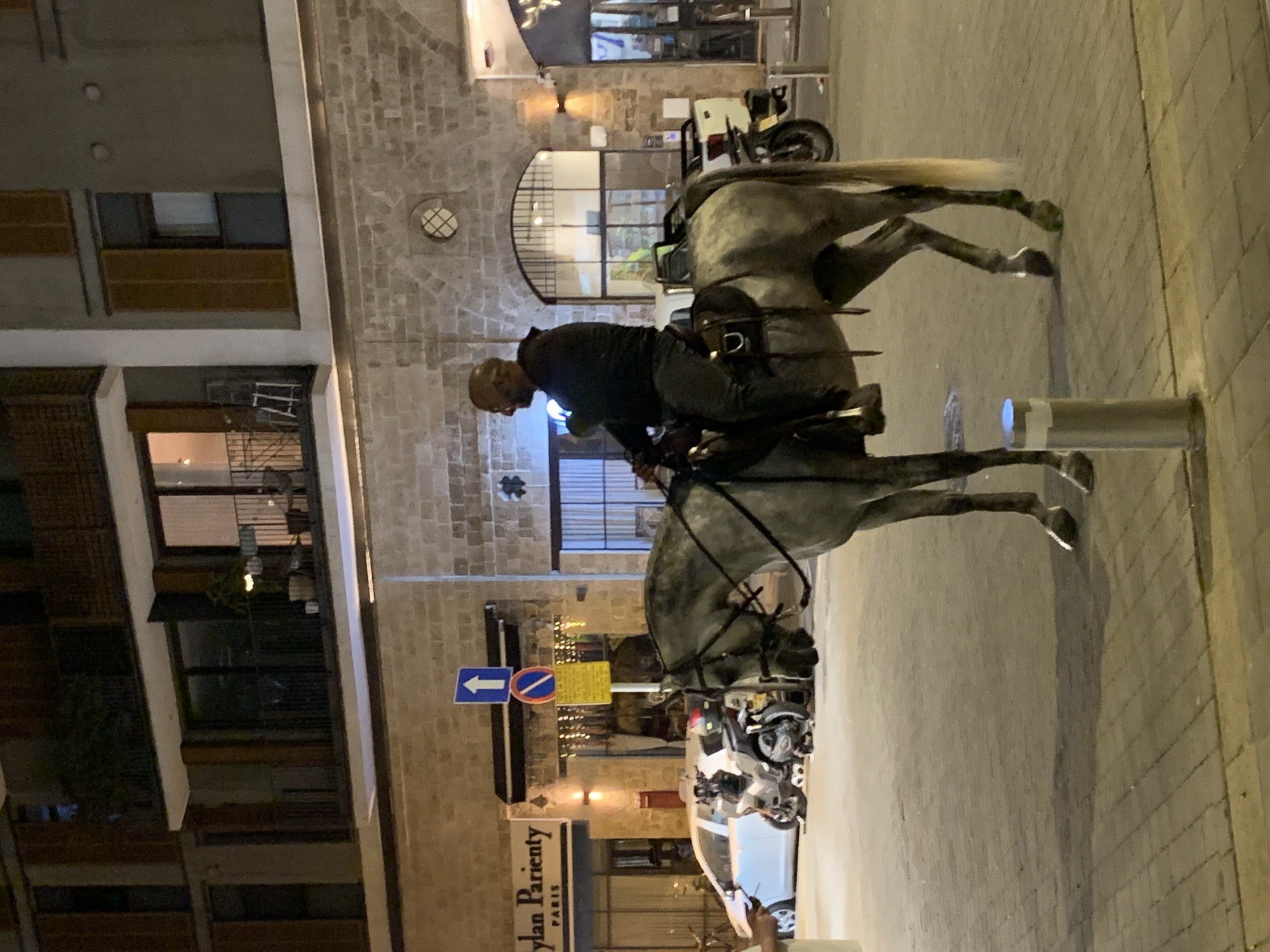 A mounted police officer sits atop a gray horse on a paved street in Tel Aviv, Israel. The officer, who is balding and wearing a dark shirt and pants, sits in the saddle, holding the reins. The horse is walking, its legs extended, and its tail slightly raised. Behind the horse and officer are buildings made of light-colored stone. A sign for "Dylan Parienty PARIS" is visible in the background, along with traffic signs and parked motorcycles. The scene appears to be at night, lit by streetlights. A bollard stands on the right edge of the image.