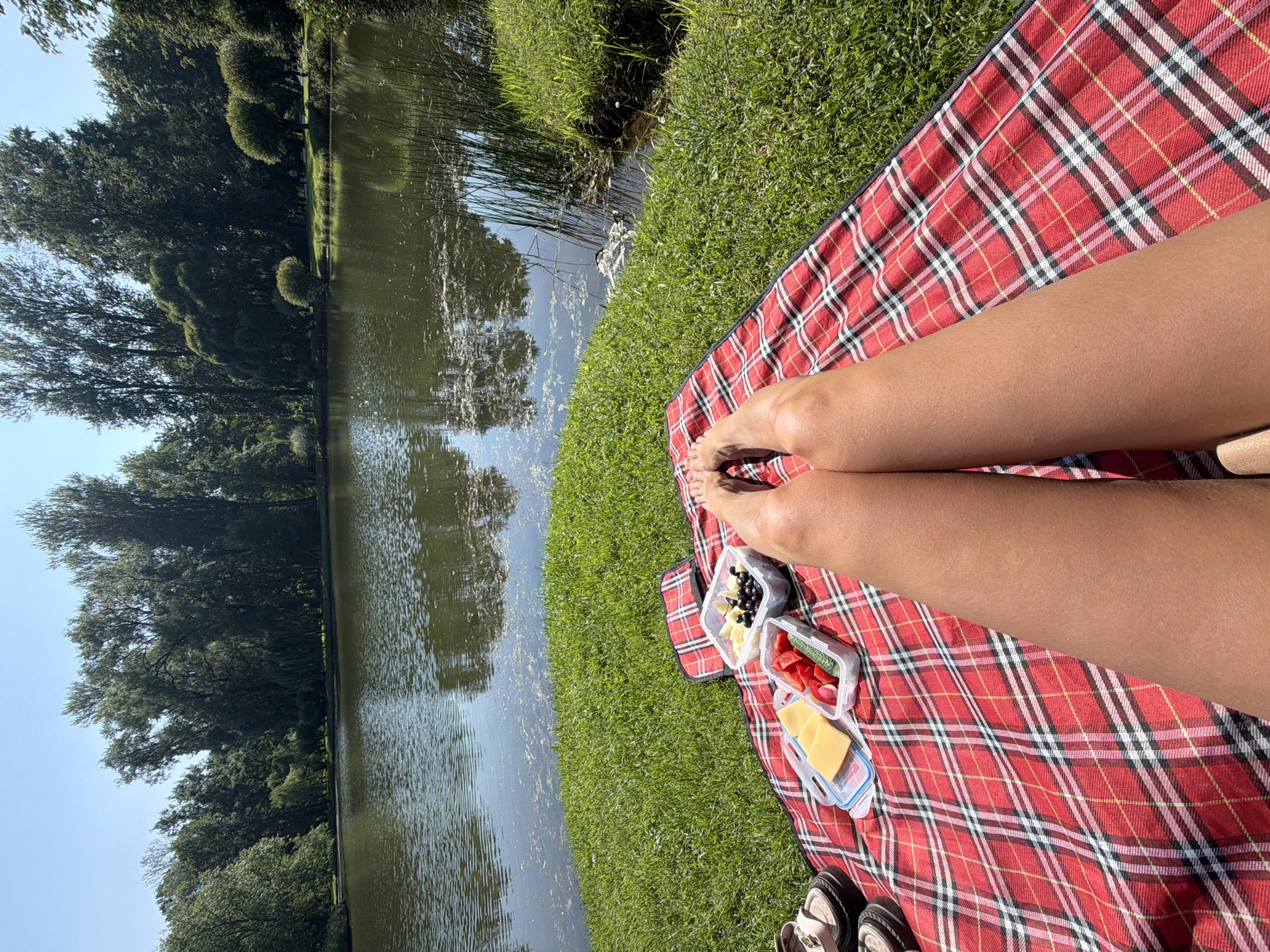 The image depicts a picnic scene on the grass next to a body of water, possibly a lake or a large pond, in Saint Petersburg, Russia. The water is calm and reflects the surrounding trees. The trees form a dense, green backdrop along the water's edge. The grass is lush and green, illuminated by bright sunlight.
In the foreground, a red and black plaid picnic blanket is spread on the grass. A person's legs are visible, positioned in the lower half of the frame, suggesting they are sitting or lying on the blanket. To the left of the legs, there are two clear plastic containers filled with picnic food. One container holds slices of cheese, cherry tomatoes, and cucumber slices. The other container contains what appears to be chopped fruit, possibly apples or pears, and dark berries, likely blueberries or grapes. A pair of sandals is also placed on the blanket, to the left of the food containers. The overall atmosphere is serene and suggests a leisurely outdoor activity on a sunny day.