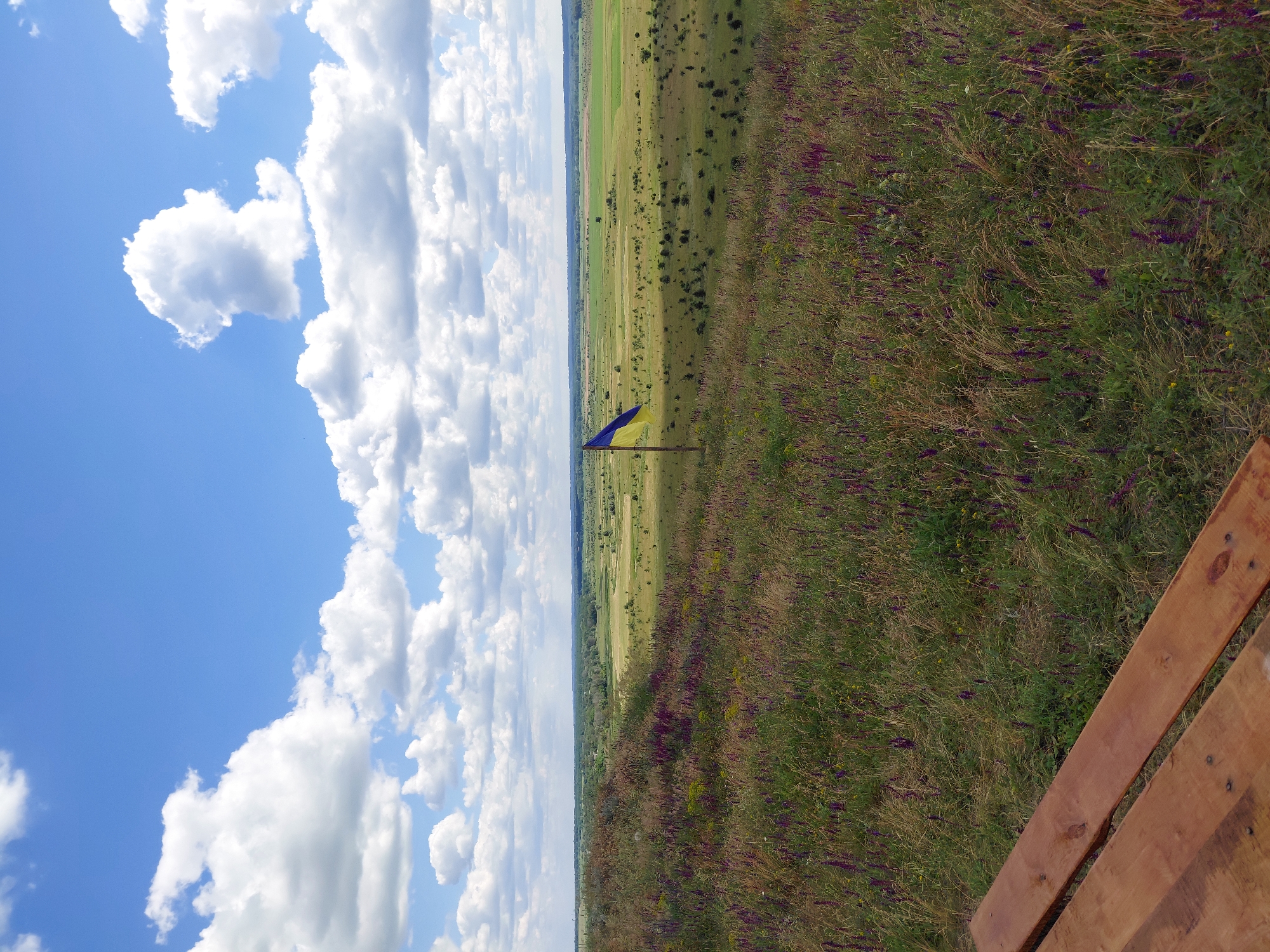In the city of Ustyvytsia, Ukraine, an outdoor panoramic landscape features a vast, rolling field under a bright blue sky dotted with fluffy white clouds. In the foreground, a wooden bench is partially visible, its planks showing a natural wood grain. The middle ground is covered in a dense tapestry of green grass and scattered purple wildflowers, with a Ukrainian flag prominently displayed on a wooden pole. Beyond the field, a distant treeline marks the horizon, with a sprawling agricultural landscape stretching out. The overall scene depicts a serene and picturesque rural setting.