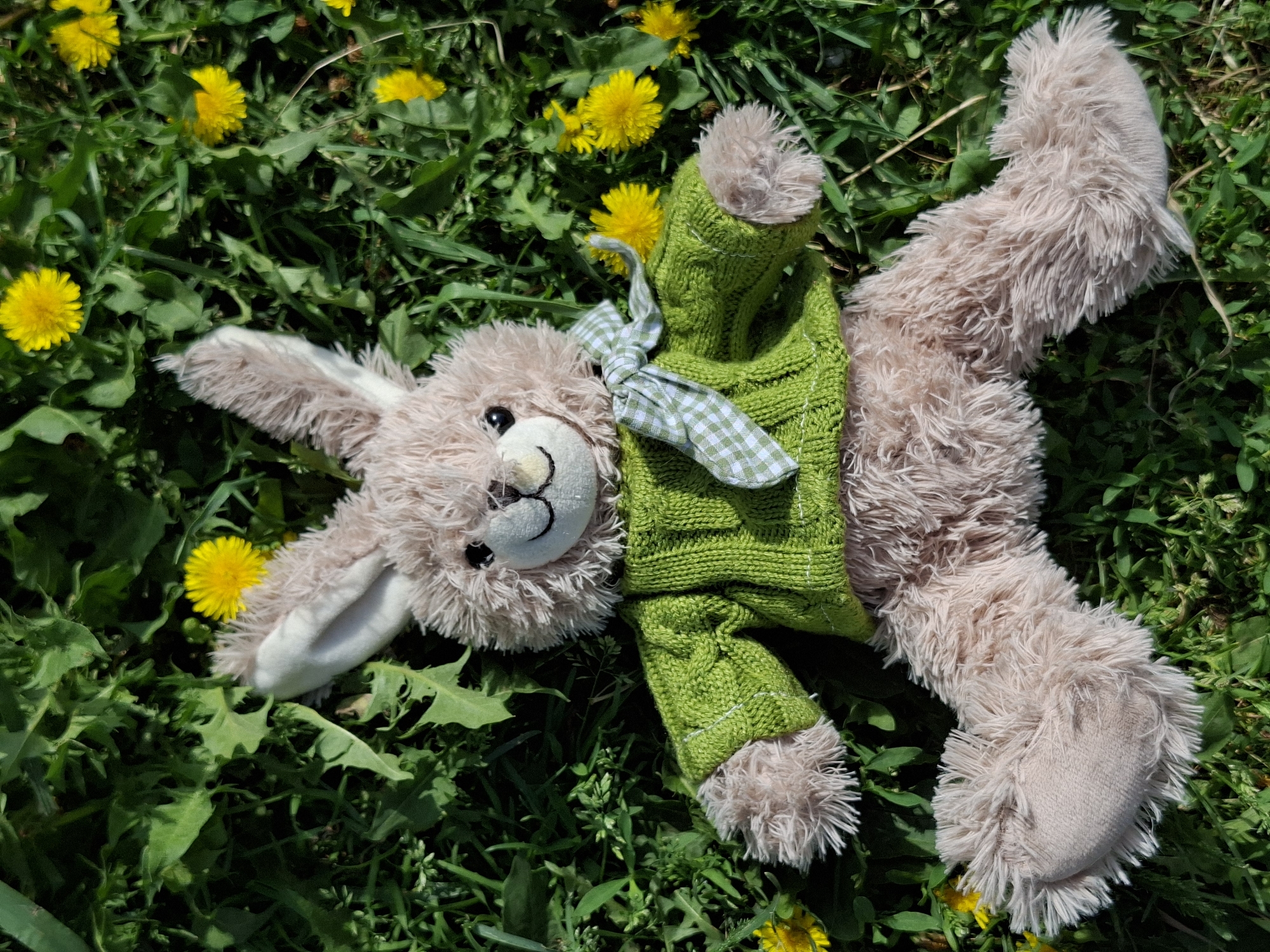 The image shows a stuffed bunny lying on a field of green grass interspersed with yellow dandelions. The bunny is light brown with long ears and a green knitted garment tied around its neck with a gingham bow. The scene appears to be outdoors in an area with natural vegetation.