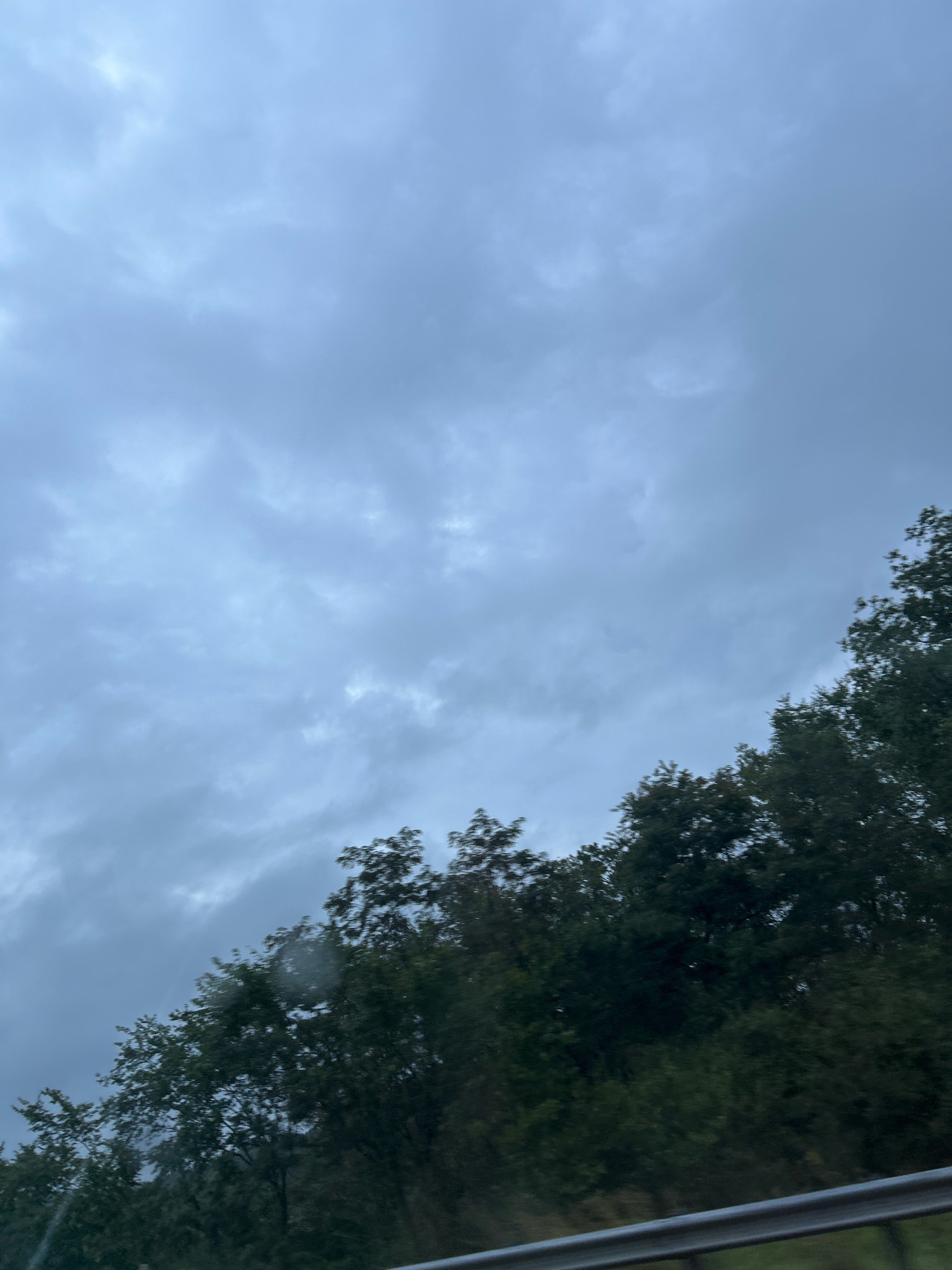 An image captures a view of overcast, grey clouds covering the sky above a dense line of dark green trees. A silver railing is visible in the foreground, suggesting the photo was taken from a highway overpass or a similar elevated vantage point. The image does not depict any people, actions, or interactions, focusing solely on the natural landscape and the atmospheric conditions. The location is specified as Robinson Township, United States of America, but no specific landmarks or features of the township are identifiable within the frame.