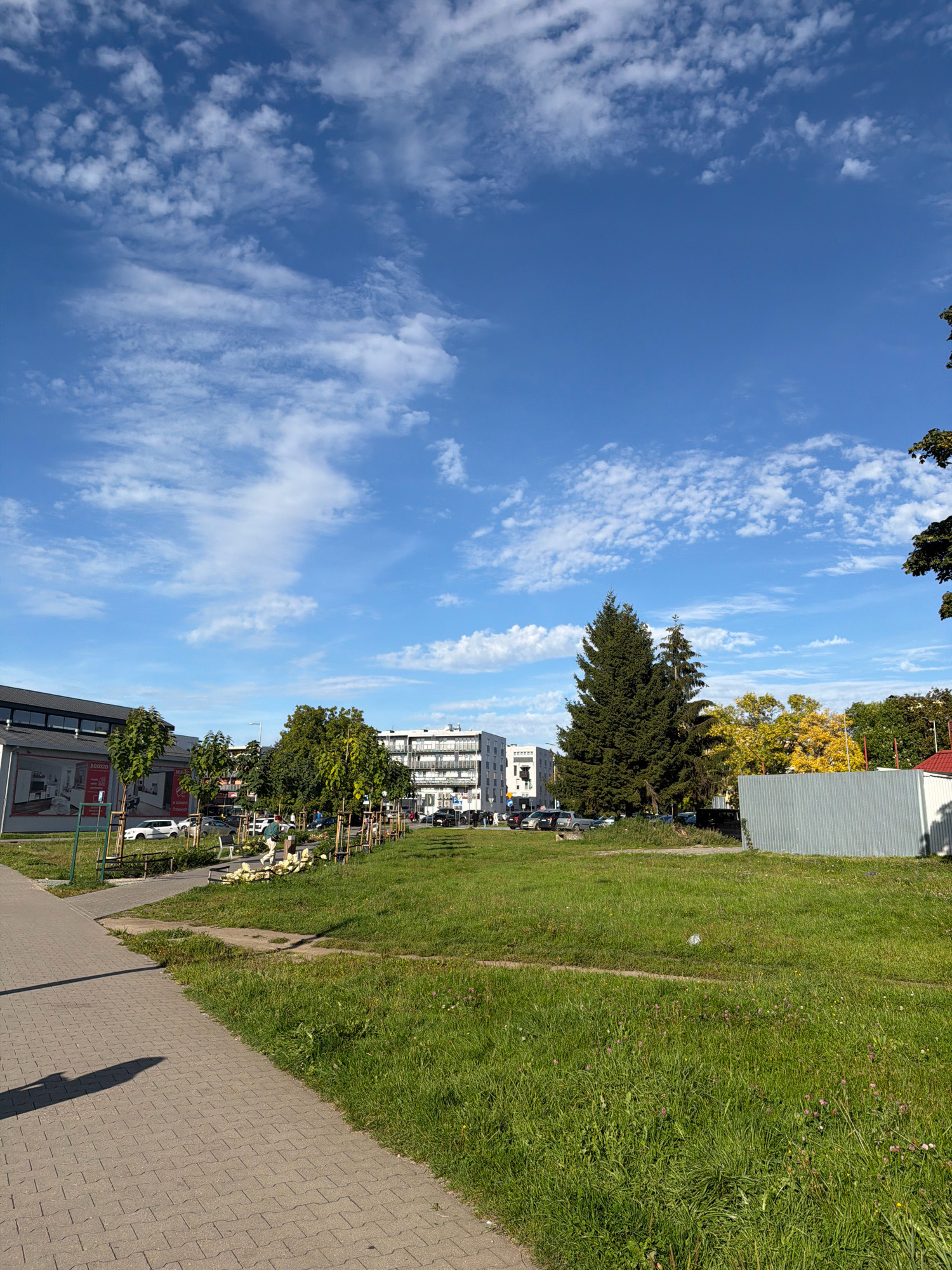 The image captures a sunny day in Koszalin, Poland, with a clear blue sky dotted with wispy white clouds. In the foreground, a paved walkway runs diagonally from the bottom left, casting a shadow onto its surface. Adjacent to the walkway is a patch of well-maintained green grass, interspersed with small wildflowers.
Further into the scene, a park-like area features young trees with visible staking supports, suggesting recent planting or preservation efforts. Beyond this, a variety of buildings are visible, including a modern commercial building on the left with large windows and signage, and apartment buildings with multiple stories in the background. Several cars are parked along the street and in the parking areas. A tall, dark green conifer tree stands prominently in the middle ground, and behind it, trees with yellowing leaves indicate the onset of autumn. To the right, a grey corrugated metal fence partially obscures a building with a red roof. One person, dressed in light-colored clothing, is visible walking in the park area. The overall atmosphere is one of an urban environment blending with green spaces on a bright, pleasant day.