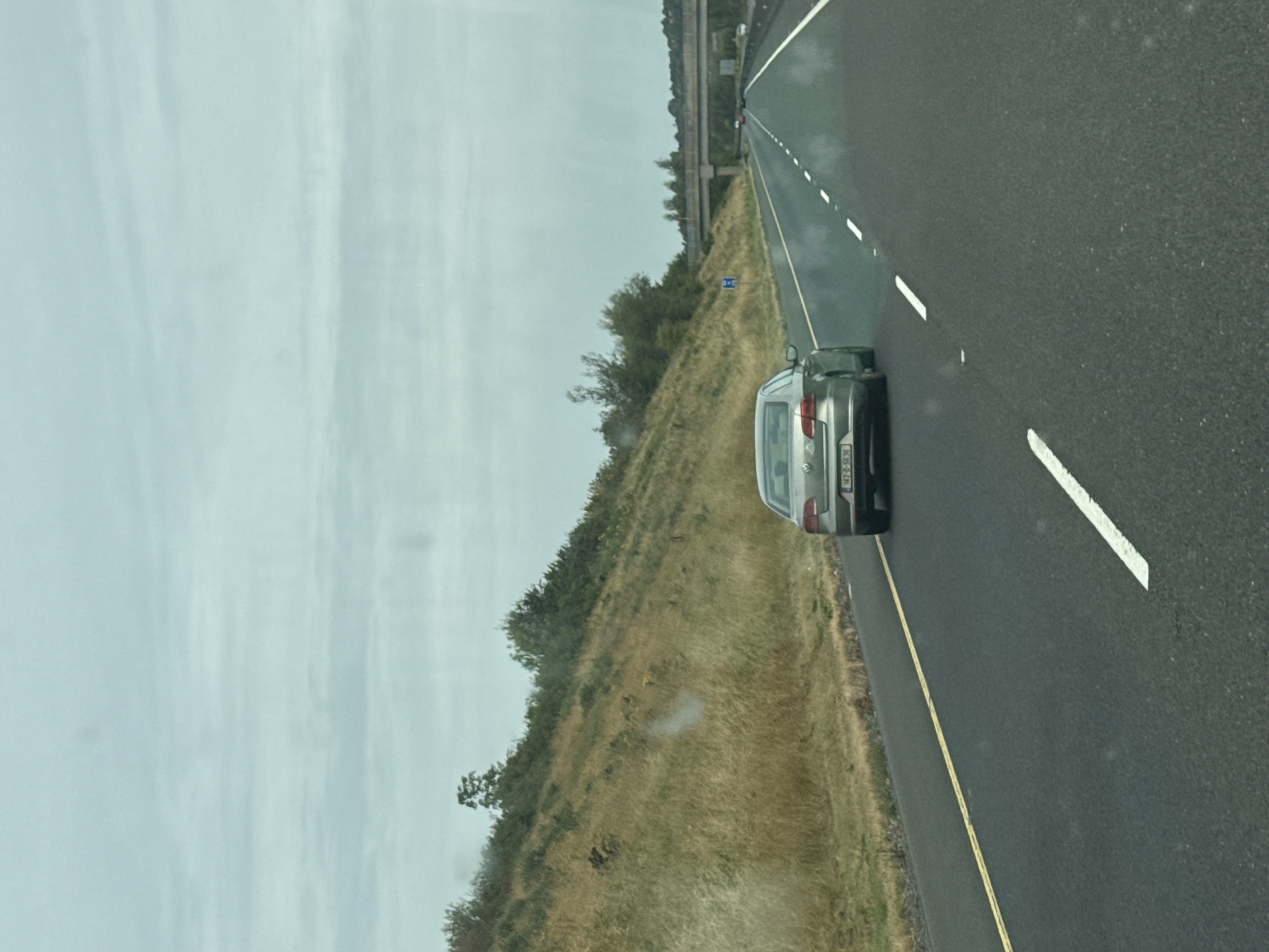 The image shows a silver Volkswagen Passat driving on a highway in Waterford, Ireland. The car is in the right lane and is facing away from the camera. The highway is a two-lane road with a yellow line on the left and white dashed lines on the right. There is a grassy embankment on the left side of the road with some trees and bushes. In the distance, there is an overpass. The sky is cloudy and overcast. The license plate of the car is visible and reads "147-D-5636".