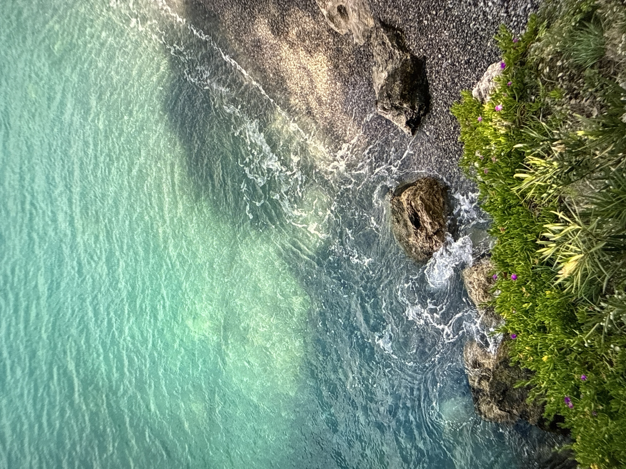 The image depicts an aerial view of a coastline. On the left is turquoise water with faint wave patterns. The center shows a dark, possibly pebble-covered beach. To the right are rocks covered in green vegetation, with some purple flowers visible. The scene doesn't seem to be located in the city of Sofia, Bulgaria, due to its inland location and lack of coastline.