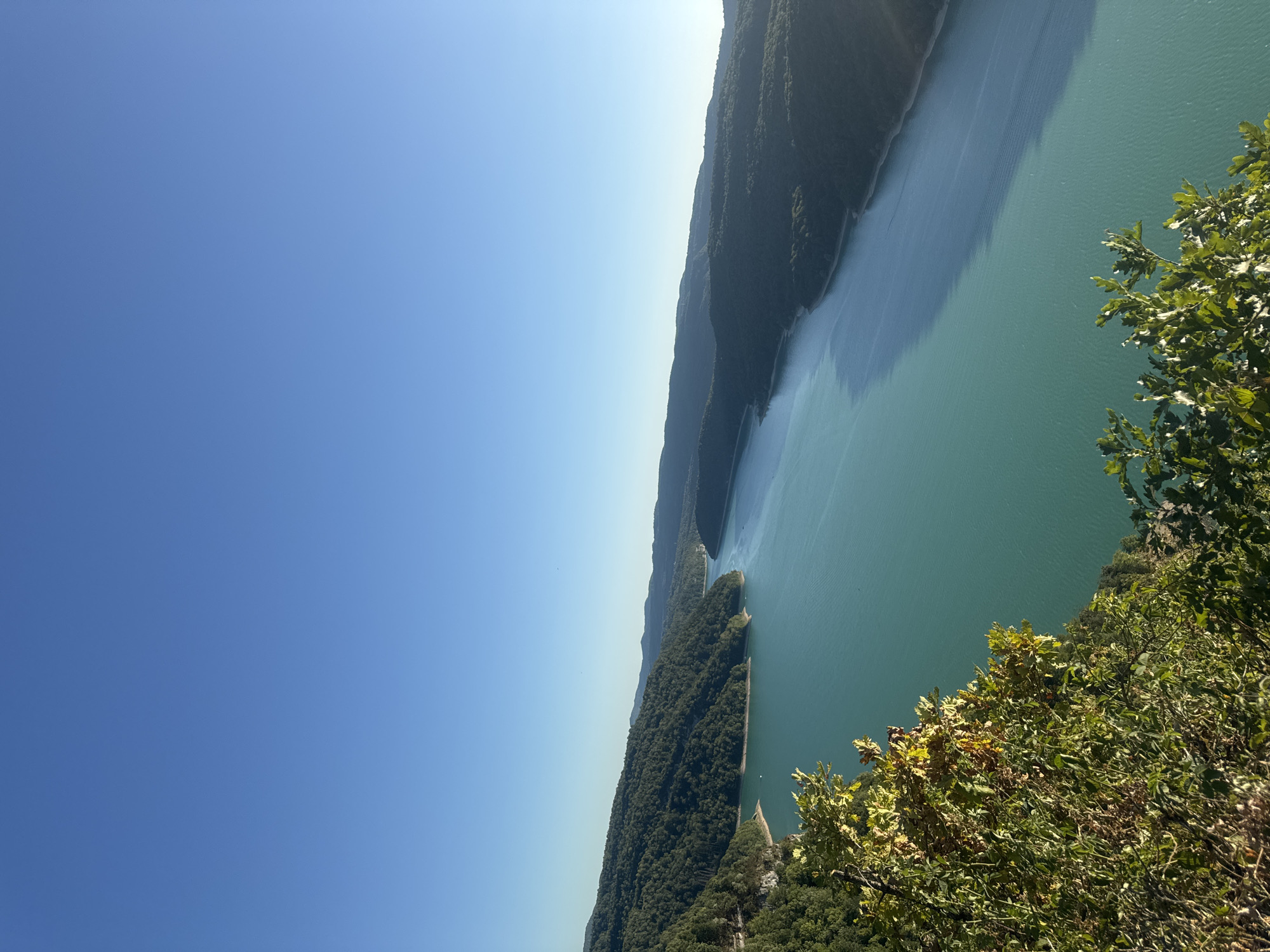The image shows a wide, tranquil turquoise lake surrounded by verdant, tree-covered hills under a clear blue sky. In the foreground, the edge of lush green foliage with some yellowing leaves is visible, suggesting an elevated viewpoint. The lake meanders through the landscape, with its shoreline defined by gentle slopes. The sun appears to be casting a warm light on the scene, creating a peaceful and natural environment. The location is identified as Moirans-en-Montagne, France, which is known for its natural beauty and lakes. There are no people or specific objects of human construction evident in the immediate scene, emphasizing the natural landscape.