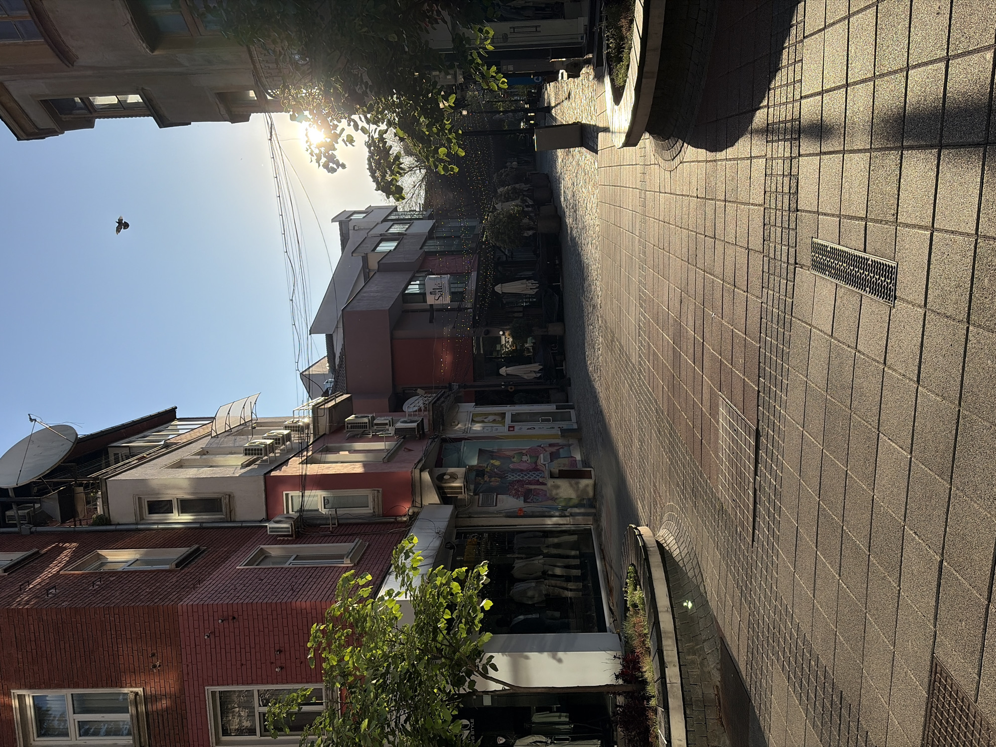 The image shows a view down a pedestrian street in Plovdiv, Bulgaria. The street is paved with rectangular blocks and bordered by buildings on both sides. The buildings are a mix of residential and commercial properties, with storefronts at street level. A bird is flying in the clear blue sky. Sunlight streams through the trees, creating shadows on the pavement. There are string lights strung across the street.