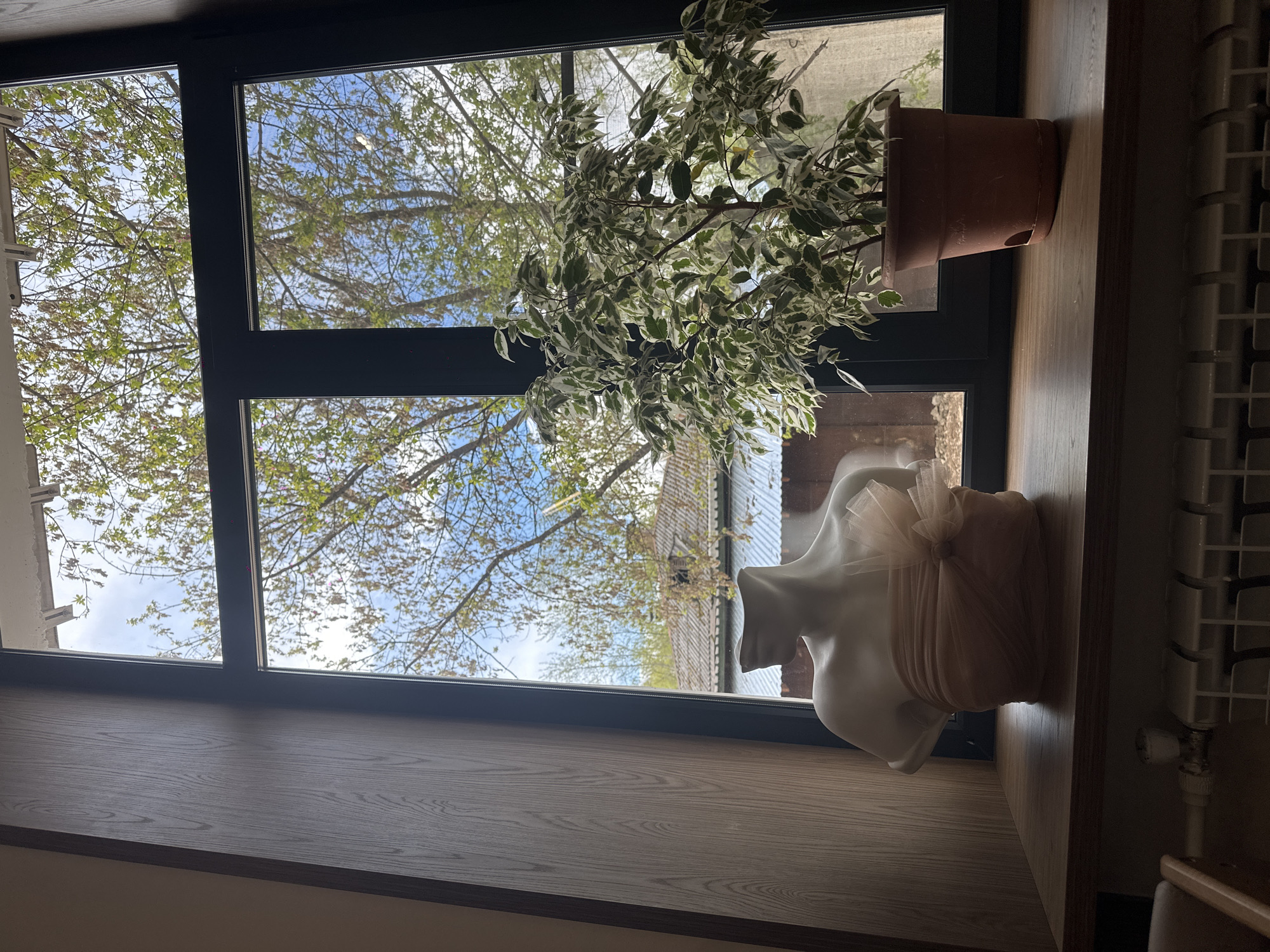 The image shows an indoor scene with a window overlooking a tree with fresh spring leaves. A potted plant sits on a shelf in front of the window, along with a white mannequin head wearing a peach-colored fabric accessory. A radiator is visible to the right. Given that the prompt mentions Glazov, Russia, it is presumed this image was taken there. No people are visible.