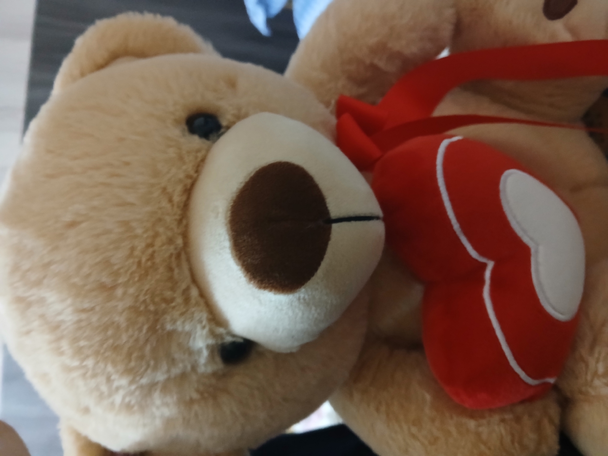 A close-up shot shows two tan-colored teddy bears, one partially obscured behind the other. The bear in the foreground has a light-colored muzzle with a dark brown nose. A red, heart-shaped object with a white outline is positioned against the bear in the background. The setting of Bengaluru, India, cannot be determined from the provided image.