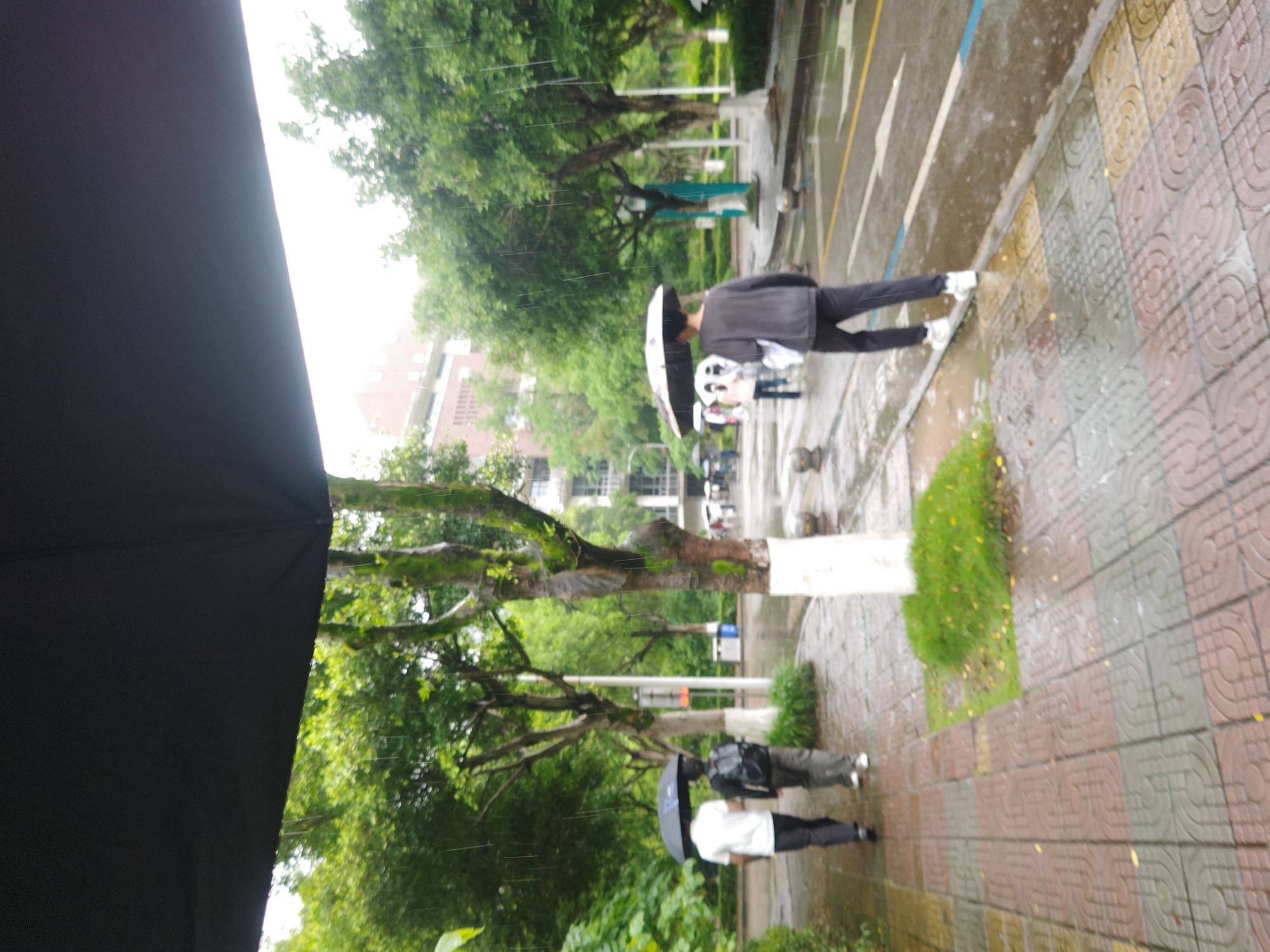 This media file captures a rainy daytime scene in the Chongqing High-tech Zone, China, viewed from under a black umbrella that occupies the left foreground. The ground is visibly wet from the rain, and faint streaks of raindrops are discernible across the frame.
In the mid-ground, three individuals are walking along a paved sidewalk. The closest person, dressed in a dark jacket and dark pants, is seen from behind holding a black and white umbrella. Further down the path, another person wearing a white shirt and dark pants holds a dark umbrella, walking alongside a third individual in a dark jacket and pants, carrying a backpack, also under a dark umbrella.
The sidewalk features decorative, patterned tiles in varying shades of brown, grey, and red. Adjacent to the sidewalk is a wet road or paved area with white and blue markings. Lush green trees with dense foliage line the path, some displaying moss on their trunks and white paint at their bases. Small patches of green grass are also visible. In the background, multi-story buildings are partially obscured by the trees. The scene depicts people navigating an outdoor urban or campus environment during a rainy period. There is no visible text in the image.