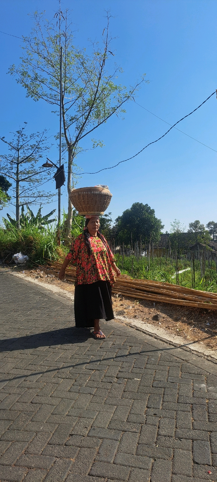A middle-aged woman with dark hair, pulled back and covered by a headscarf, walks along a paved road in Sekarjoho, Indonesia. She is carrying a large woven basket on her head. The woman is wearing a colorful, floral-patterned blouse with wide sleeves and a long, black skirt. She has on sandals. The road is made of dark grey interlocking bricks laid in a herringbone pattern. To the left of the road, there is a patch of green grass and vegetation, with a pile of white plastic bags and debris. A tall, slender tree with sparse leaves and long seed pods stands near the left edge of the frame. Further back, a wooden fence borders a field of dry bamboo stalks that are bundled together. The sky is a clear, bright blue. A thin black wire is strung across the upper portion of the image. The lighting suggests it is daytime, likely morning or late afternoon due to the long shadows cast by the woman and the trees.