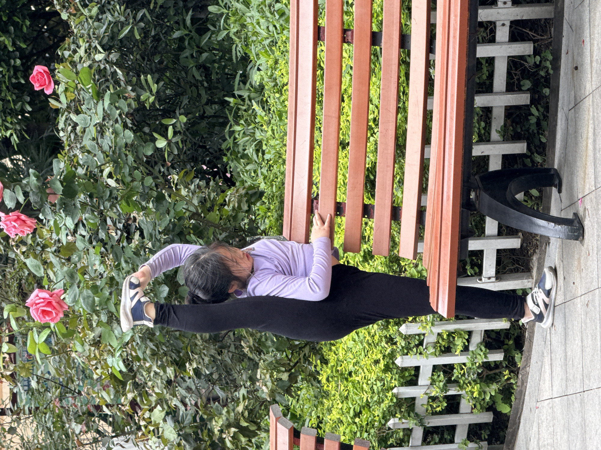 A young woman with dark hair, wearing a long-sleeved lilac shirt and black pants, is performing a split stretch in a park setting. She is positioned horizontally with her back against a wooden park bench. Her left leg is extended forward, and she is holding her left foot with her left hand. Her right leg is extended backward, resting on the bench seat. The scene is bordered by greenery. Roses are visible among the leaves in the background. The bench is adjacent to a paved walkway. The location is the city of Yuzhong District, China.