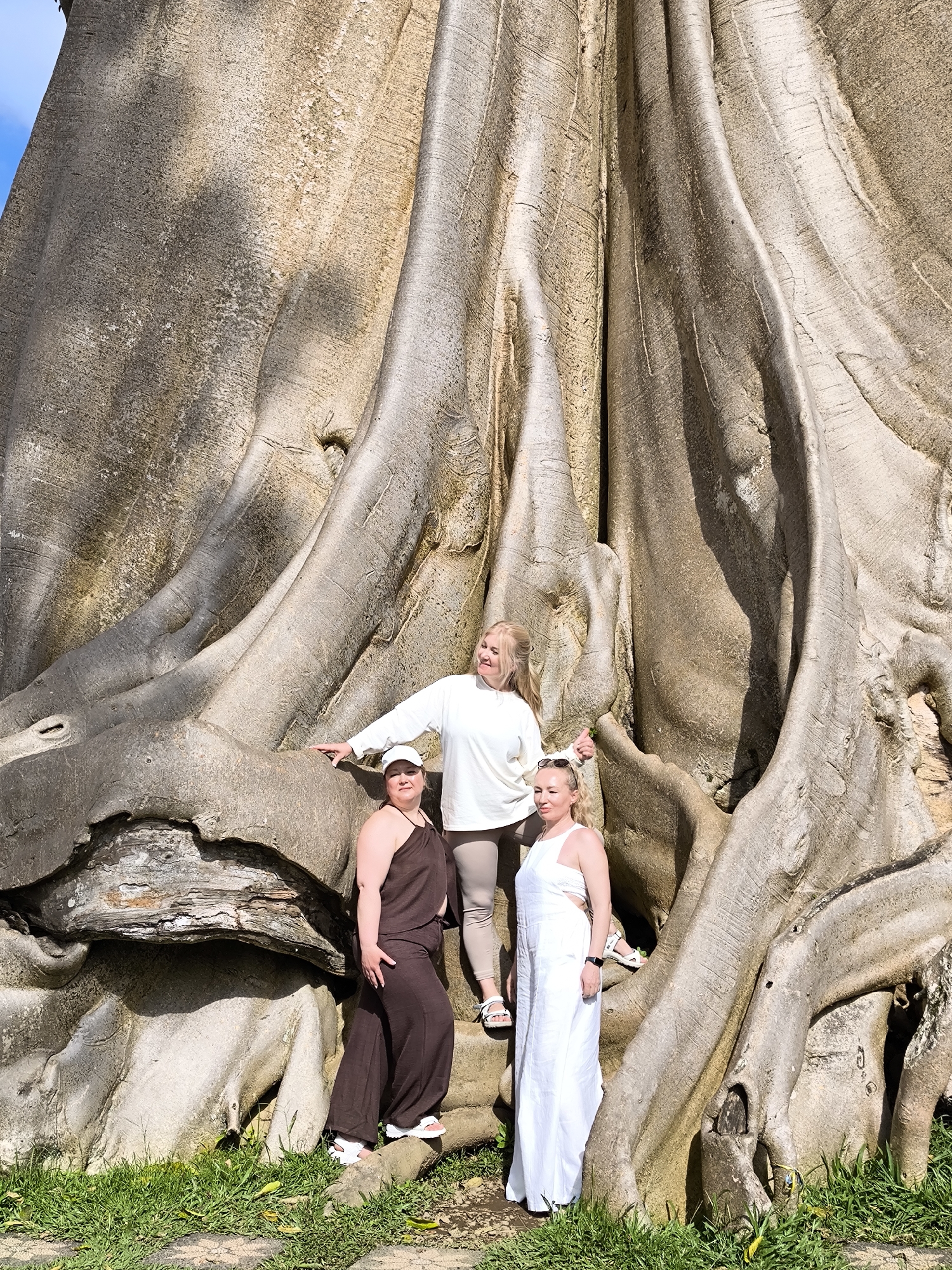Three women are posing in front of a large tree in Tua, Indonesia. The tree has a massive trunk with exposed roots extending outwards, partially covered with green grass on the ground.
The woman on the left is wearing a brown jumpsuit with white sneakers and a white baseball cap. The woman in the middle wears a white sweater and beige pants with white sandals. She is standing with one arm outstretched, touching the tree trunk. The woman on the right is wearing a white jumpsuit with white sandals, and her sunglasses are on top of her head.
The background features a clear blue sky visible through the branches of the tree. The scene is bathed in sunlight, creating shadows on the tree trunk and the ground.