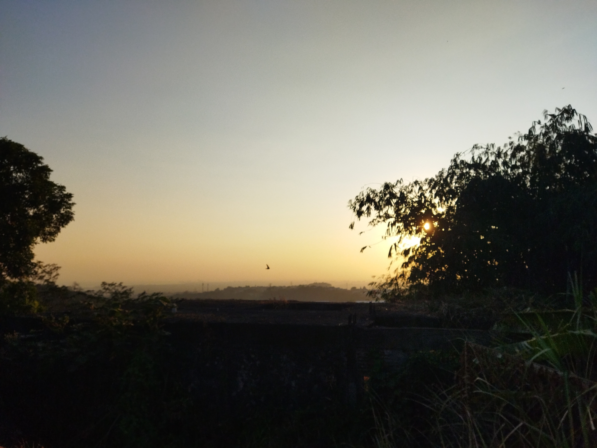 The image captures a sunset over the city of Semarang, Indonesia. The sky is a gradient of light blue and yellow, with the sun partially obscured by trees on the right side of the frame. In the distance, hazy hills and industrial structures are visible. The foreground is dominated by dark foliage and shadows, with a low wall or embankment running across the middle ground. A solitary bird is seen in flight against the bright sky. The overall impression is one of a tranquil, late afternoon or early evening scene in a natural or semi-natural setting within the urban landscape of Semarang.