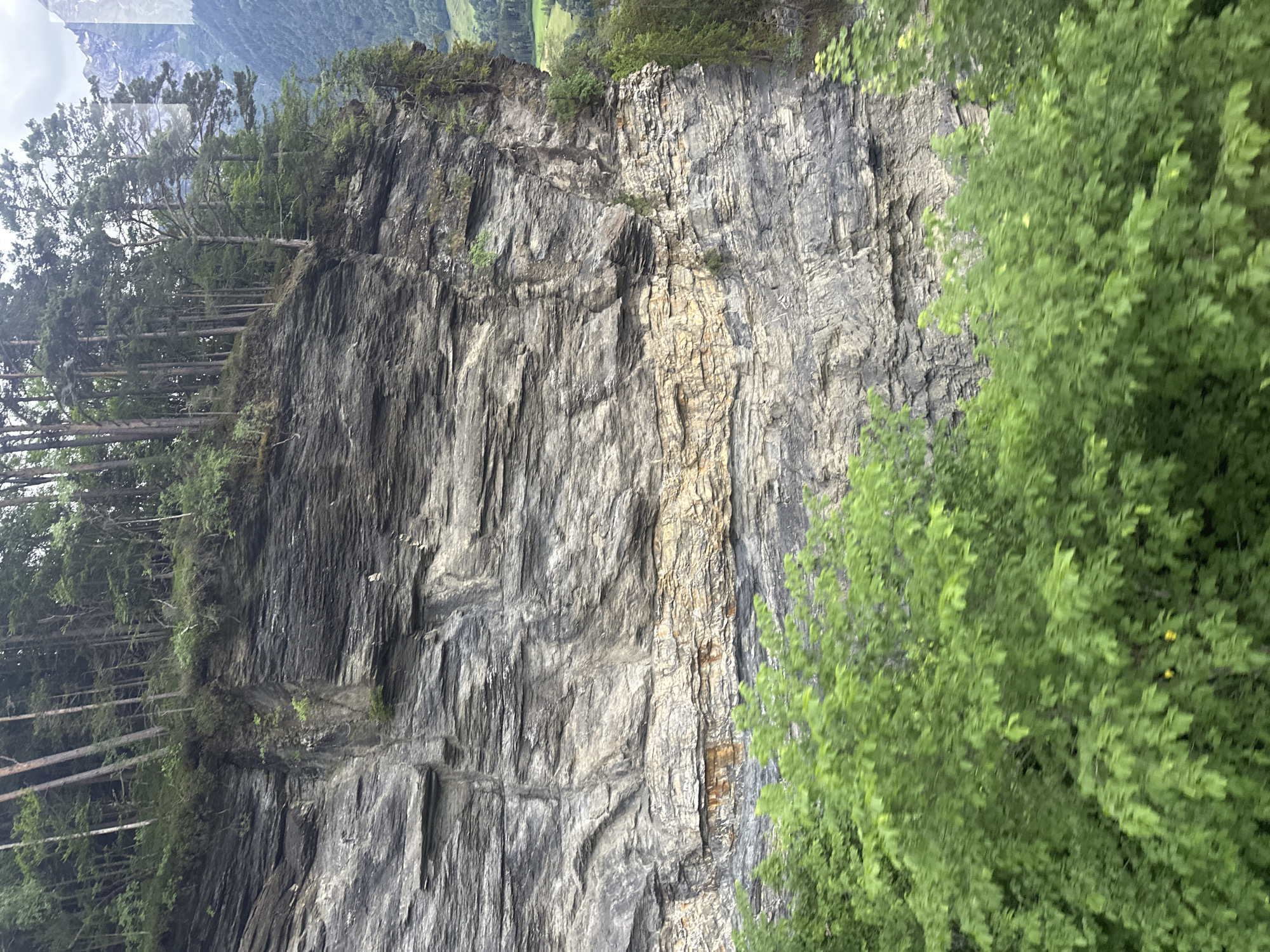 The image shows a rugged, stratified rock cliff face covered in layers of gray and tan rock. Dense green foliage and trees are visible at the top of the cliff and in the foreground. The background reveals a hazy mountain landscape with hints of green valleys and a cloudy sky. The scene appears to be a natural environment, possibly in a mountainous region of Switzerland, given the mention of Hüsen. There are no people or discernable actions depicted in the image.