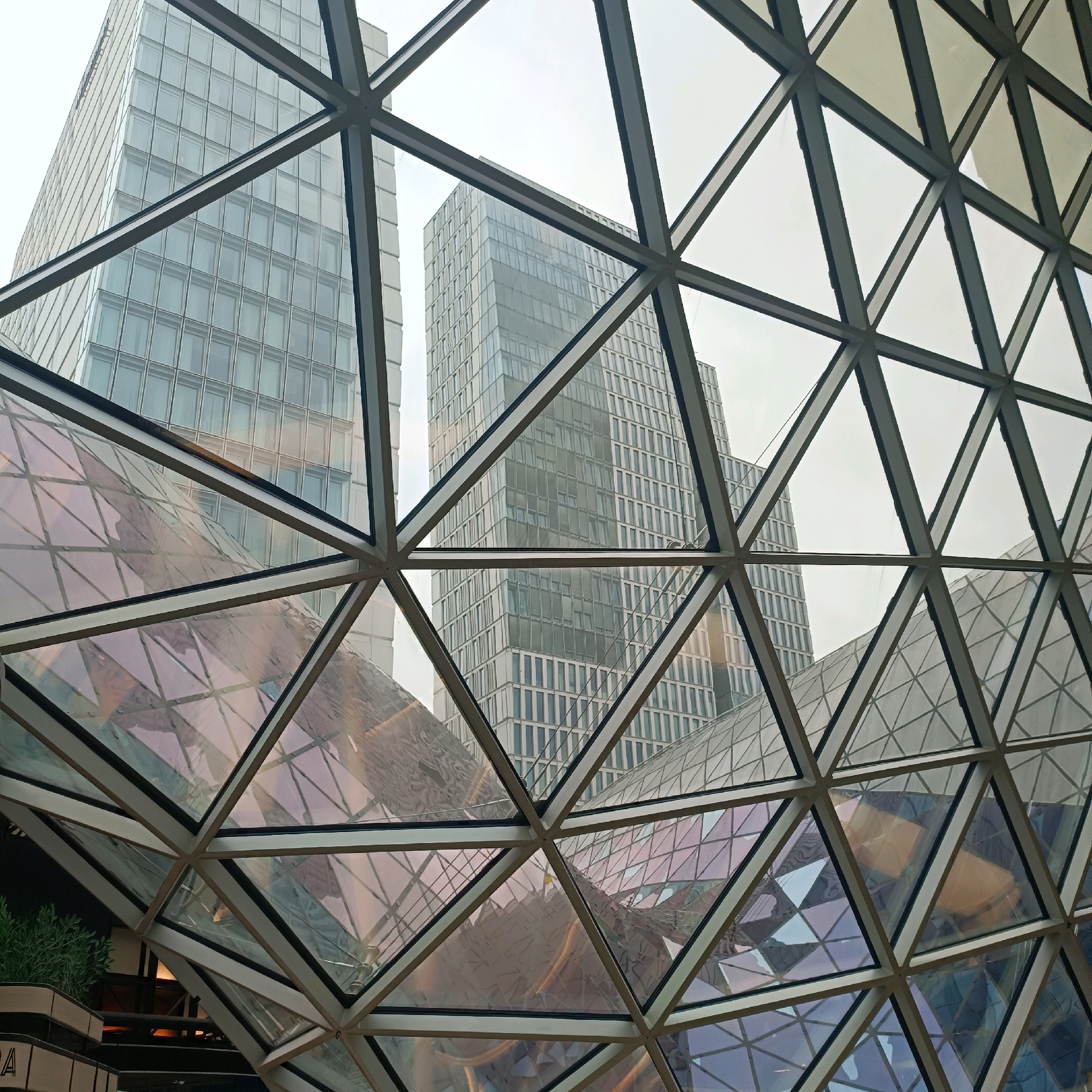 The image shows a view through a geodesic dome structure made of glass and metal beams. Outside the dome, two modern glass skyscrapers are visible. The one on the left is taller and has a more uniform facade of horizontal and vertical windows. The skyscraper to the right is slightly shorter and also features a grid of windows, with some sections appearing darker, possibly indicating recessed areas or different window treatments. The geodesic dome's glass panels reflect the sky and the surrounding buildings, with some panels exhibiting a purplish hue. A portion of a green plant in a planter is visible in the lower left corner, suggesting an indoor environment within the dome. The overall scene depicts a contemporary architectural setting, likely an atrium or a shopping center. This view is characteristic of the interior of the Skyline Plaza, a shopping mall located in Frankfurt, Germany, which features a large glass atrium with a geodesic dome.