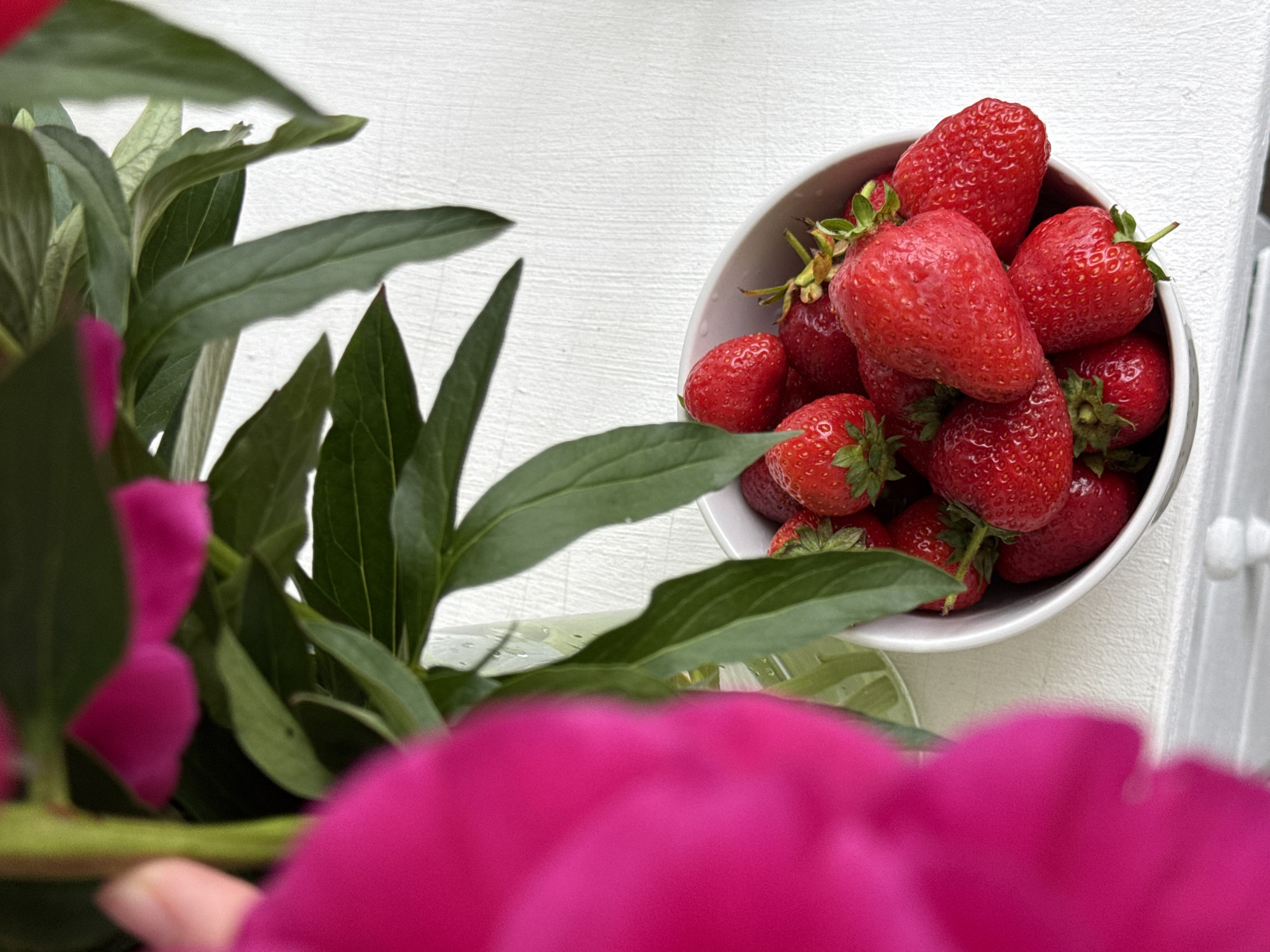 The image presents a close-up, high-angle view of a domestic scene located in the city of Chaikovsky, Russia. In the lower right quadrant, a white ceramic bowl is filled with numerous ripe, red strawberries, each displaying visible seeds and varying shades of red, some retaining their green calyxes. The bowl rests on a white surface with a subtle vertical texture, possibly a painted wooden tabletop or shelf. In the upper left and left foreground, a large, out-of-focus, vibrant magenta or hot pink object, consistent with a flower petal, partially obscures the view. Behind this petal, several elongated green leaves, belonging to a plant, are prominently displayed, some with visible veins and small water droplets on their surfaces. A clear glass or plastic vase containing the plant stems is partially visible behind the leaves in the upper center. No individuals are present in the frame.