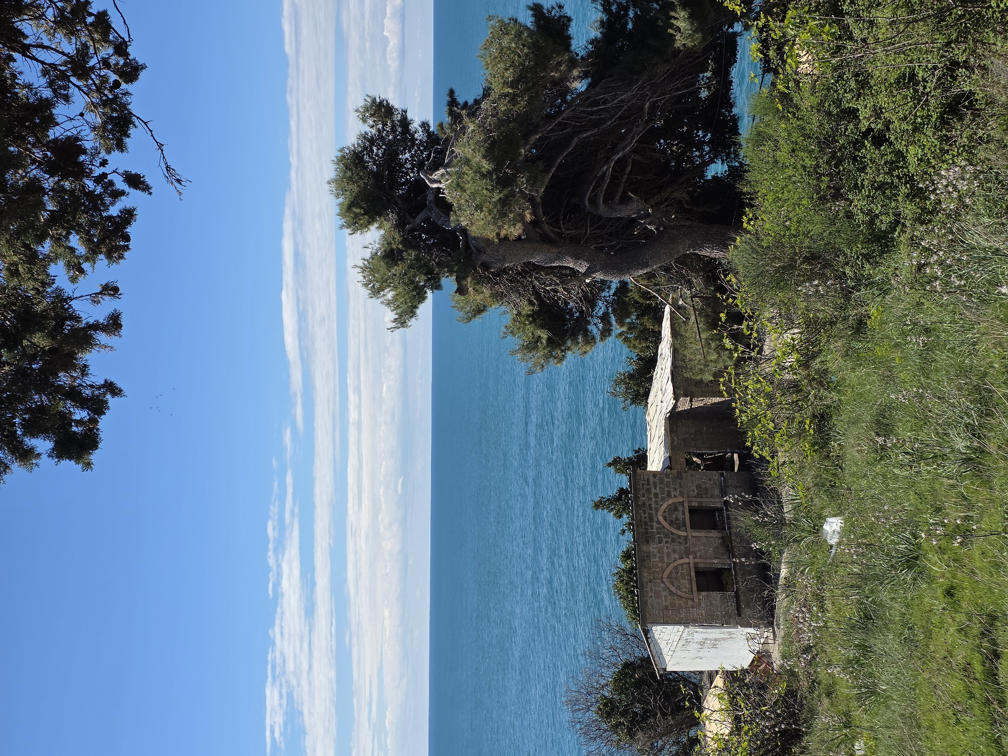 The image shows a coastal scene with a partially ruined building next to the Adriatic sea. The sea, with a cloud-streaked sky above, dominates the left half of the image. A large pine tree partially obscures the building, which is constructed of stone and concrete, and has arched windows. The building is surrounded by dense vegetation of grasses, bushes, and trees. The scene is likely on a cliff or high point overlooking the sea, somewhere in Ulcinj, Montenegro.