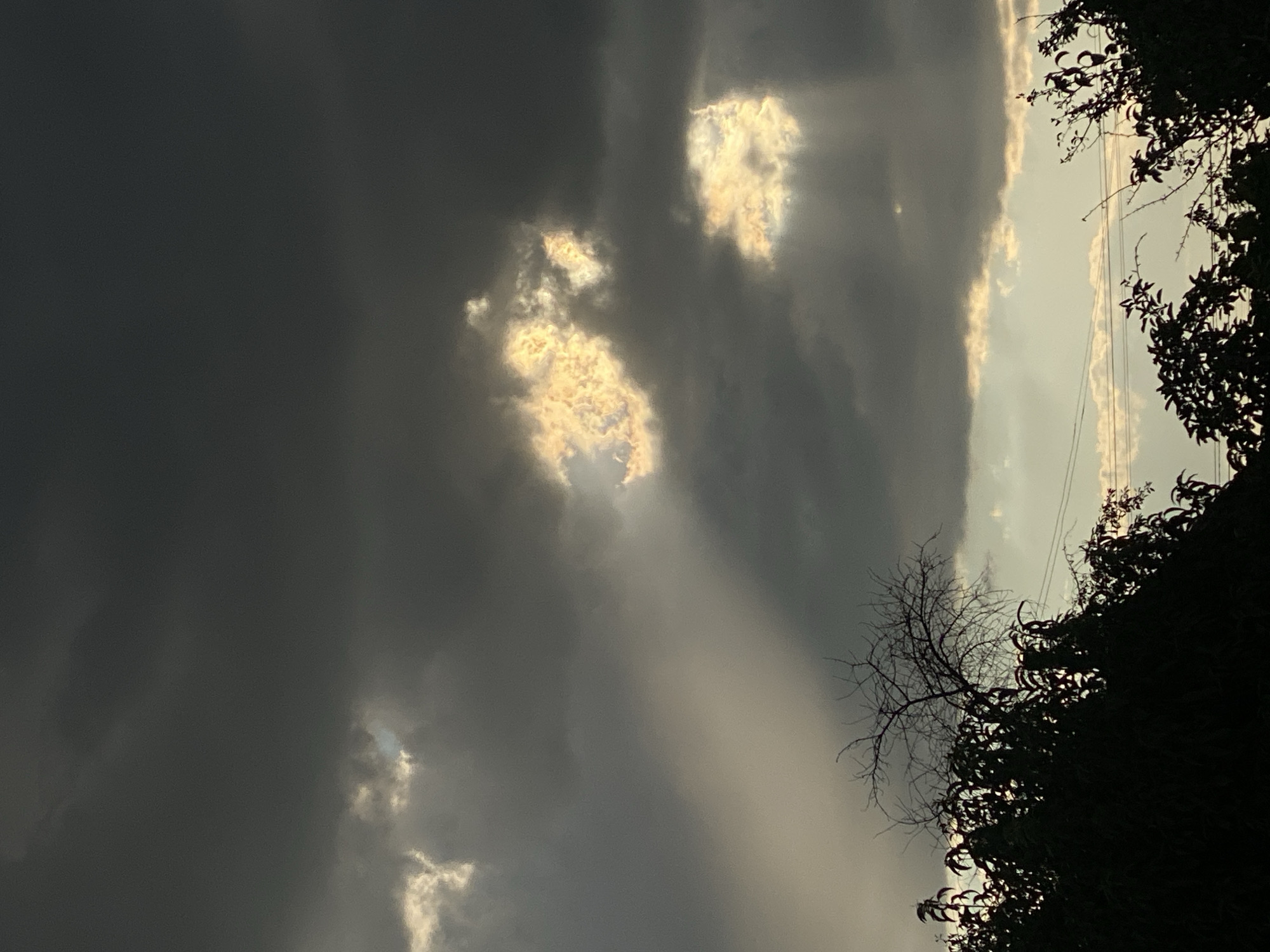 The image shows a dramatic sky with dark, heavy clouds and shafts of golden light breaking through. Two distinct patches of brightly illuminated clouds are visible, one larger and irregular in shape, the other smaller and more square. Sunbeams emanate from these illuminated areas, casting rays downwards. The foreground is dominated by the dark silhouettes of trees and foliage, with a bare, gnarled tree branch visible against the sky. Power lines are faintly visible in the distance between the trees and the horizon. The scene appears to be captured in Cairaclia, Moldova, during what seems to be a stormy or overcast day with intermittent sunlight. There are no people or visible actions occurring in the image.