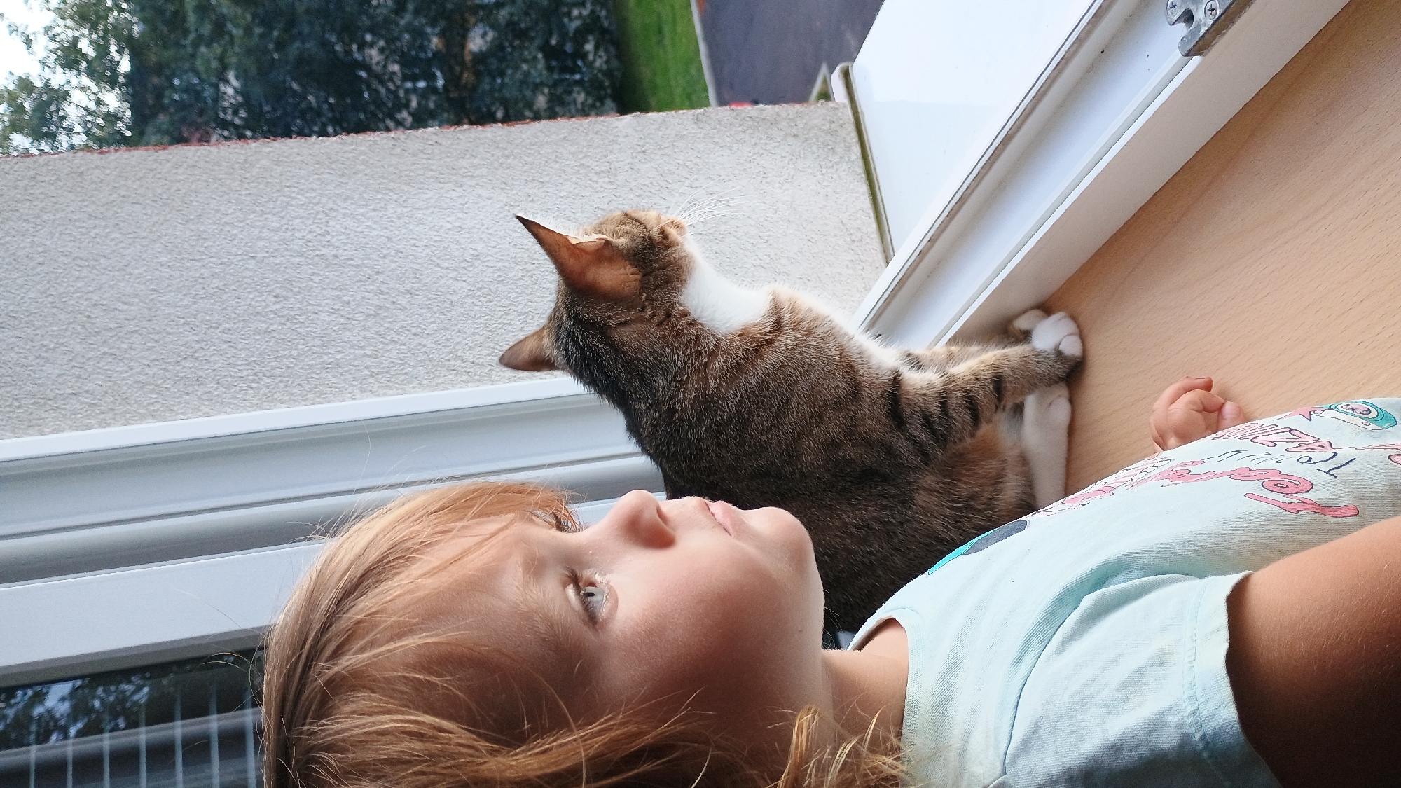 A young child with blonde hair and a light blue t-shirt is sitting on a wooden windowsill, looking out the window. Next to the child, a tabby cat with white markings is also sitting on the windowsill, looking out the window. The window is open, and through it, a tree and a paved area are visible. The scene appears to be a residential building in Sokolov, Czechia, likely a balcony or an interior room with a window view.
