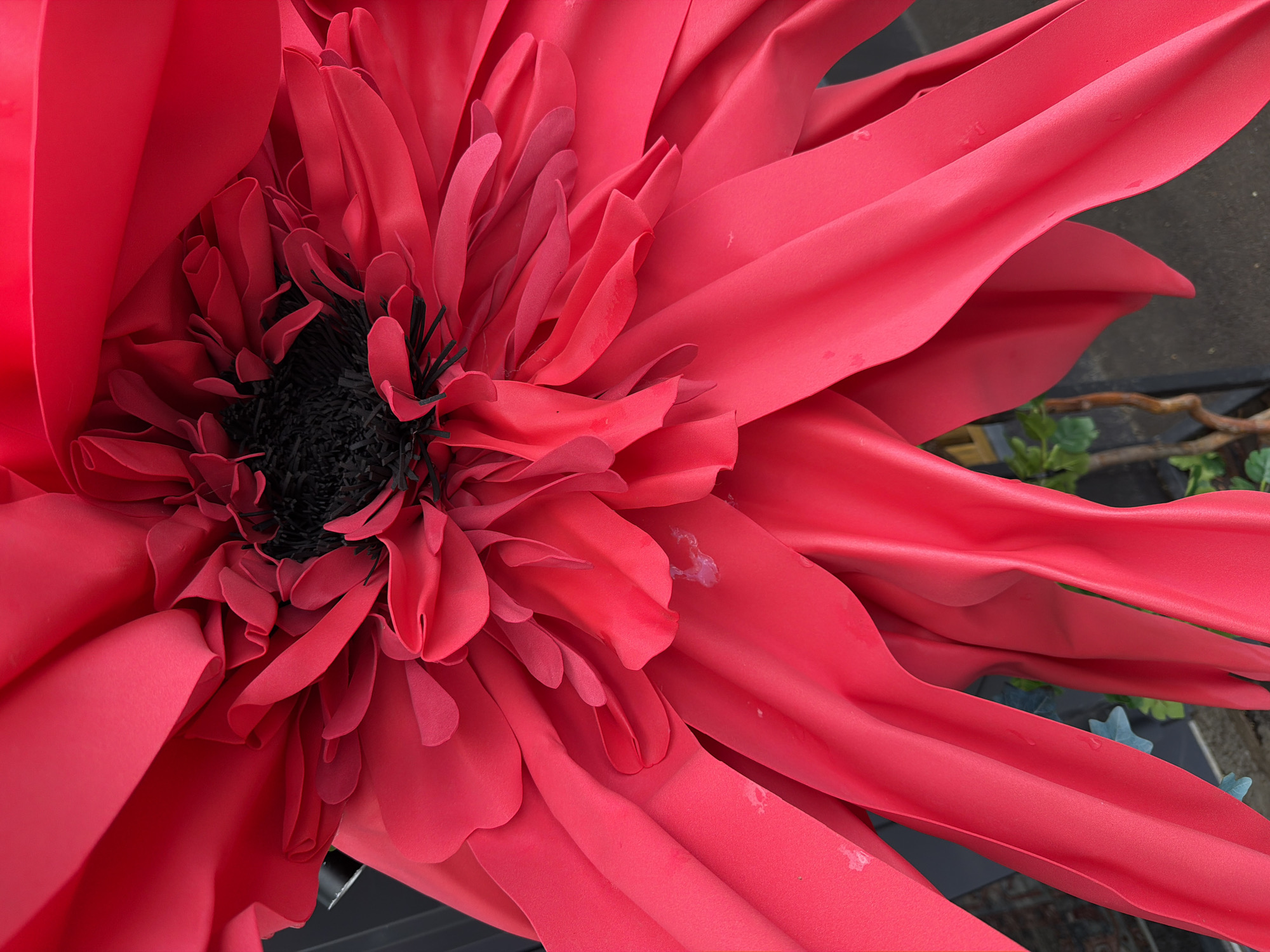 An extreme close-up, high-angle shot shows the center of a large, artificial red flower with black stamens in the middle. The petals are made of bright red, somewhat glossy material and are layered in a ruffled manner, with some appearing creased and others smooth. The petals curve and overlap, creating a sense of depth and volume. There are a few small, translucent water droplets visible on some of the petals. The background is dark and out of focus, with a hint of green foliage and a branch-like object on the right side. The overall impression is of a dramatic and oversized floral decoration.