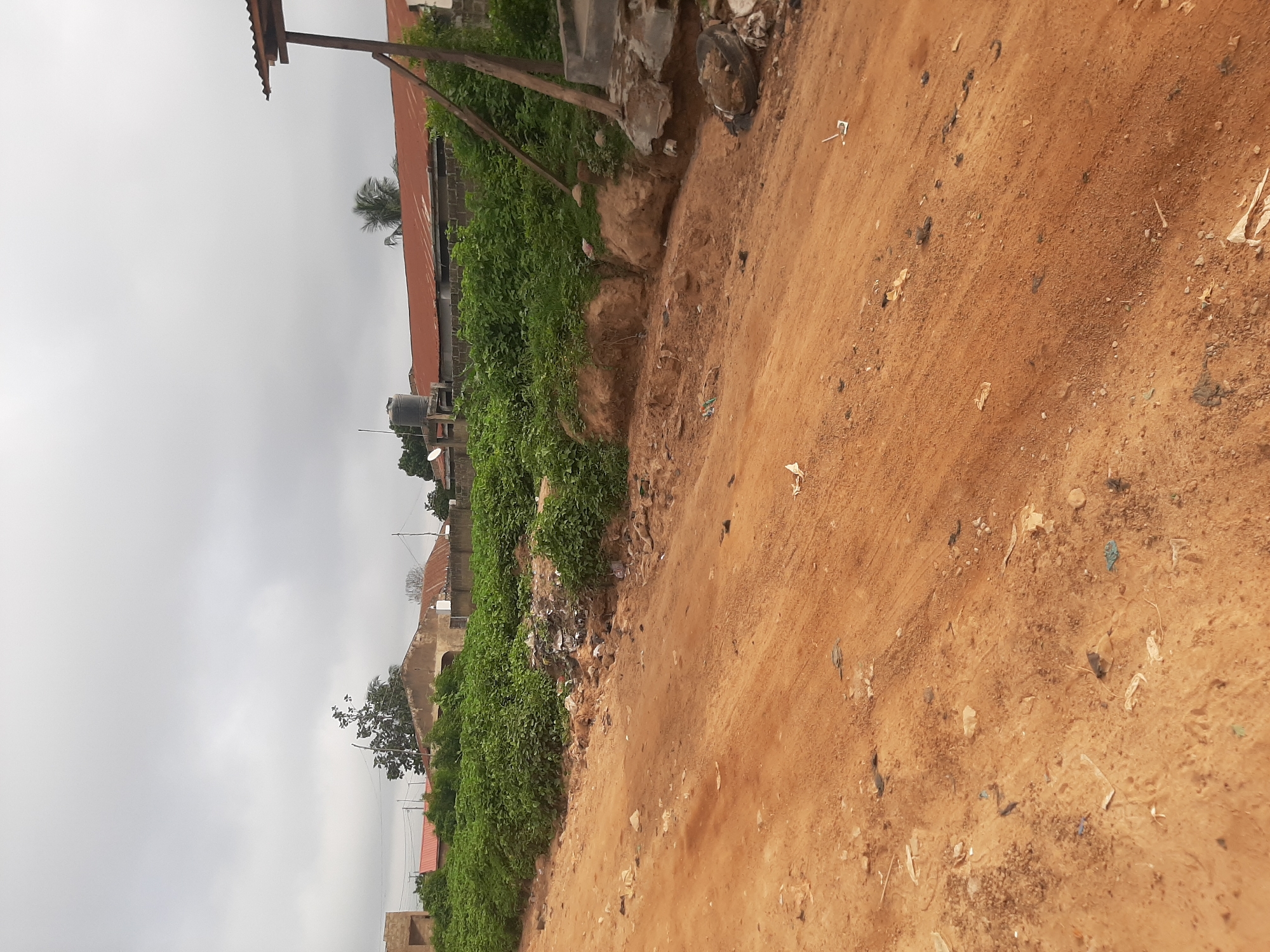 This image depicts an outdoor scene with a dirt road in the foreground and a densely vegetated area bordering it. In the background, several buildings with corrugated metal roofs are visible, along with a water tank and some utility poles. The sky is overcast, suggesting a cloudy day. The presence of litter along the edge of the road and near the vegetation indicates an urban or semi-urban environment. This scene is likely located in Ogbomosho, Nigeria, given the architectural style and vegetation commonly found in the region.
