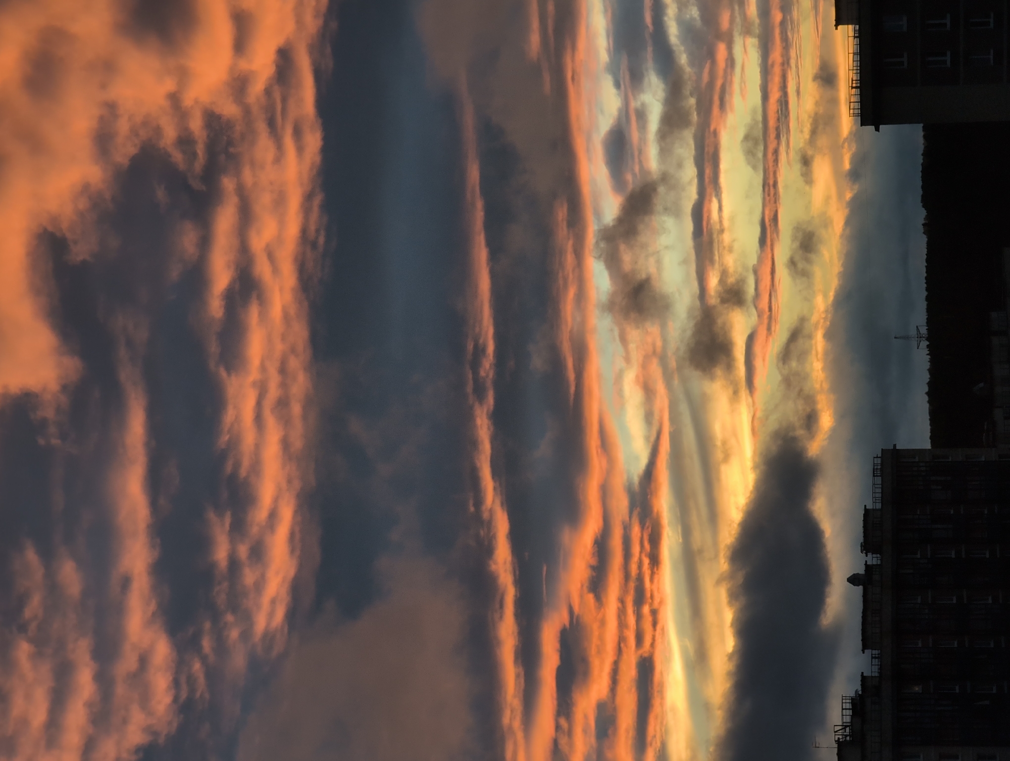 The image depicts a dramatic sunset over an urban landscape, likely in Saint Petersburg, Russia, given the architectural style. The sky is filled with striking clouds, characterized by a gradient of deep grays and vibrant oranges, suggesting the last rays of the sun are breaking through or illuminating the undersides of the clouds. Horizontal bands of clouds dominate the upper portion of the frame, with softer, more diffused cloud formations lower down, bordering the cityscape.
Below the sky, silhouetted against the colorful backdrop, are the tops of buildings. The most prominent structures are apartment buildings, identifiable by their multi-story facades, windows, and rooftop details such as railings and ventilation units. The buildings are dark silhouettes, indicating they are either lit from behind by the sunset or are simply underexposed. The horizon line is occupied by the dark mass of the city's skyline, with hints of trees and possibly a distant radio tower visible in the darker areas of the lower third of the image. The overall mood is dramatic and atmospheric, showcasing the beauty of a sunset over a densely populated area. No people are visible in the image.