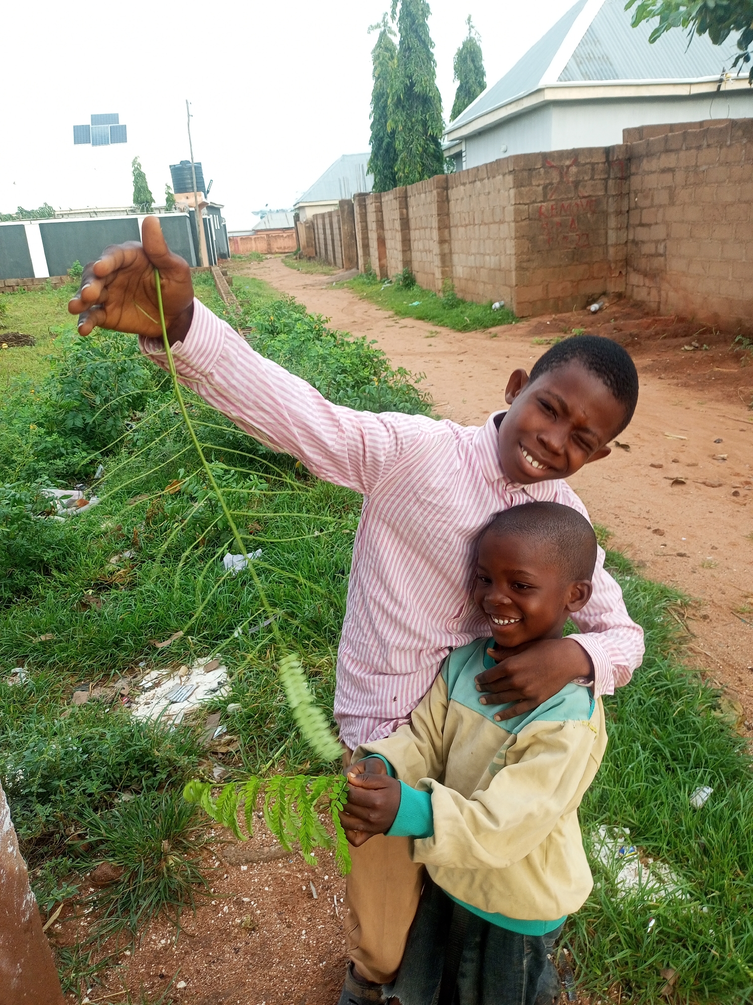 Two young boys are pictured outdoors in what appears to be a residential area. The older boy, on the left, is wearing a pink and white striped shirt and is holding a long, leafy green plant. He is embracing the younger boy, who is wearing a light brown and teal jacket. Both boys are smiling broadly at the camera, suggesting a cheerful mood. The scene suggests a warm, possibly humid day, with lush green grass and vegetation around them. In the background, there are brick walls, buildings with metal roofs, and tall trees, consistent with the provided location context of Tempure, Nigeria. The ground is a mix of dirt and small stones. The time of day appears to be daytime, with soft, diffused lighting. There is no visible text in the image.