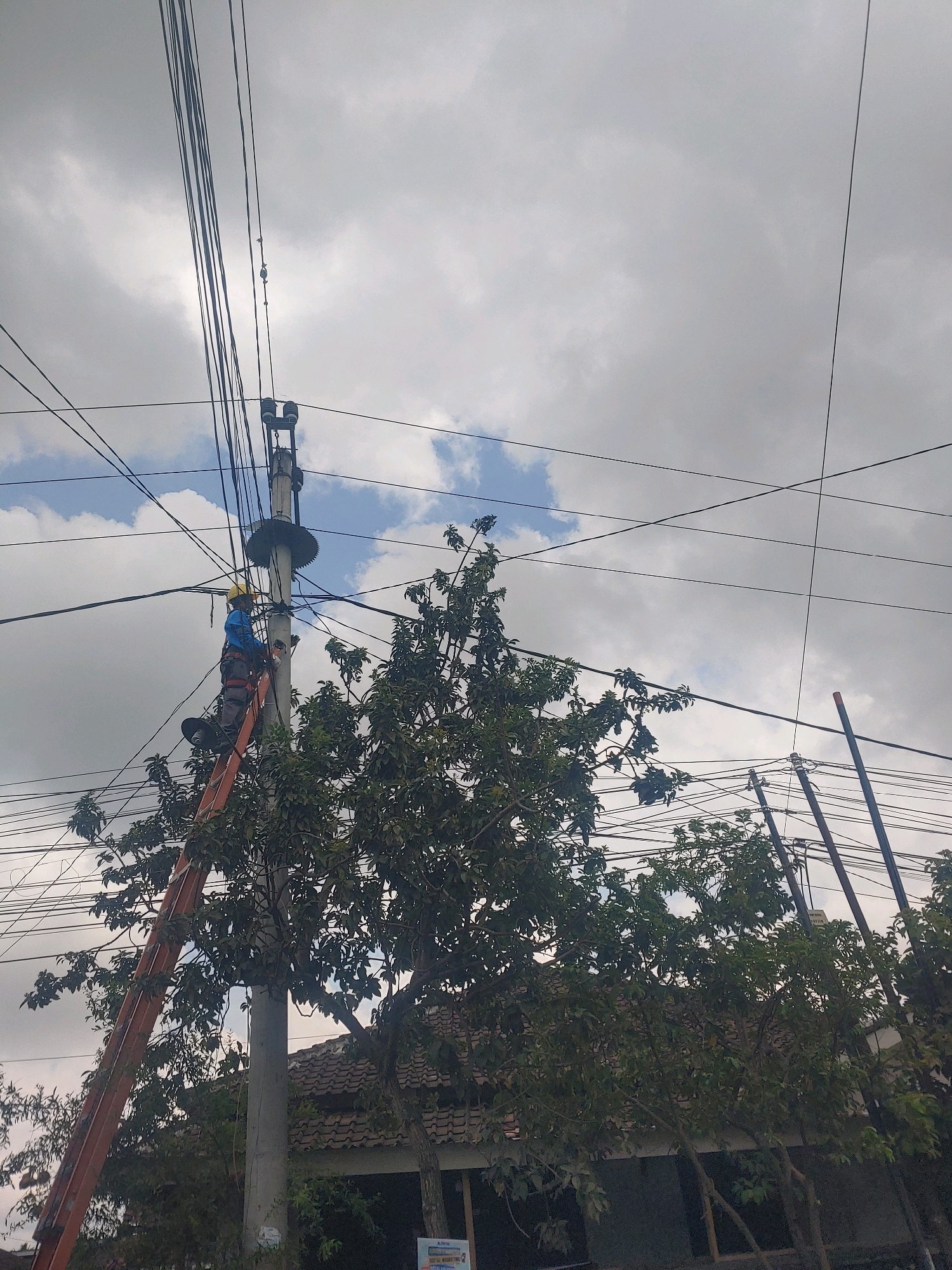 An overhead shot captures an electrician, wearing a yellow hard hat and a blue shirt with gray pants, suspended from an orange ladder on a utility pole in Kembang Kerang, Indonesia. The electrician is actively engaged in work on the power lines, which crisscross the frame against a cloudy sky. The scene is dominated by the utility pole and a canopy of lush green trees, with the roofs of houses visible beneath the foliage. A collection of power lines forms a dense network above the surrounding environment.