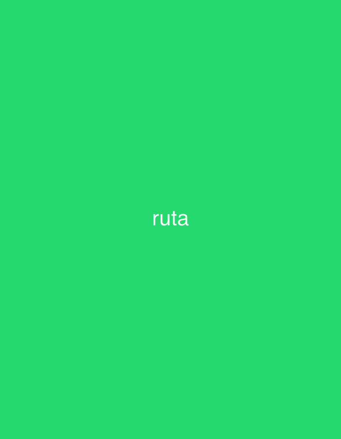 The image displays a uniform, solid green background. Centered horizontally and vertically on this background is the word "ruta" rendered in white, lowercase sans-serif typography. There are no other discernible objects, subjects, or environmental elements present.